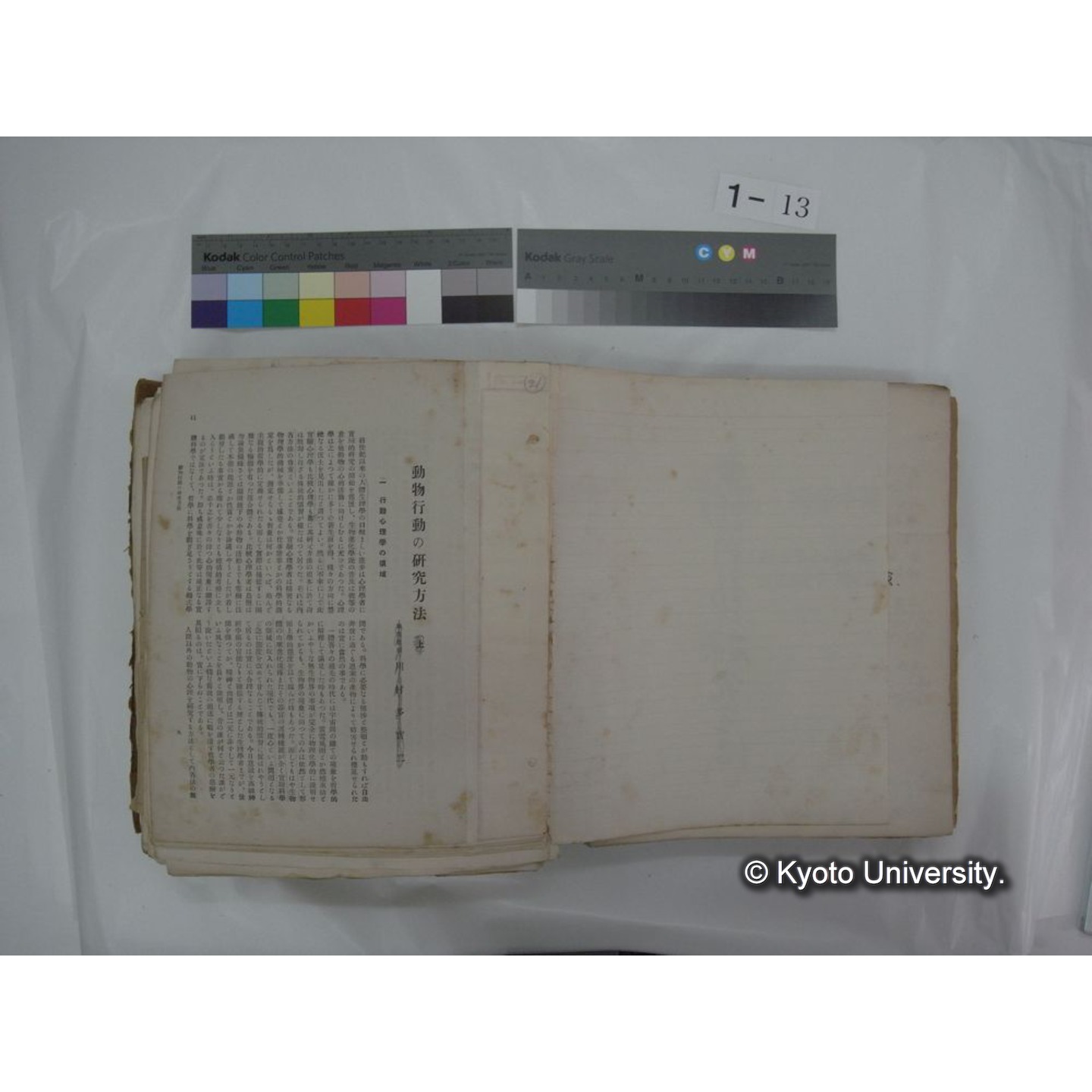 自著旧文 [直筆・著作複写・抜き刷りなど] / 川村多實二 (41)