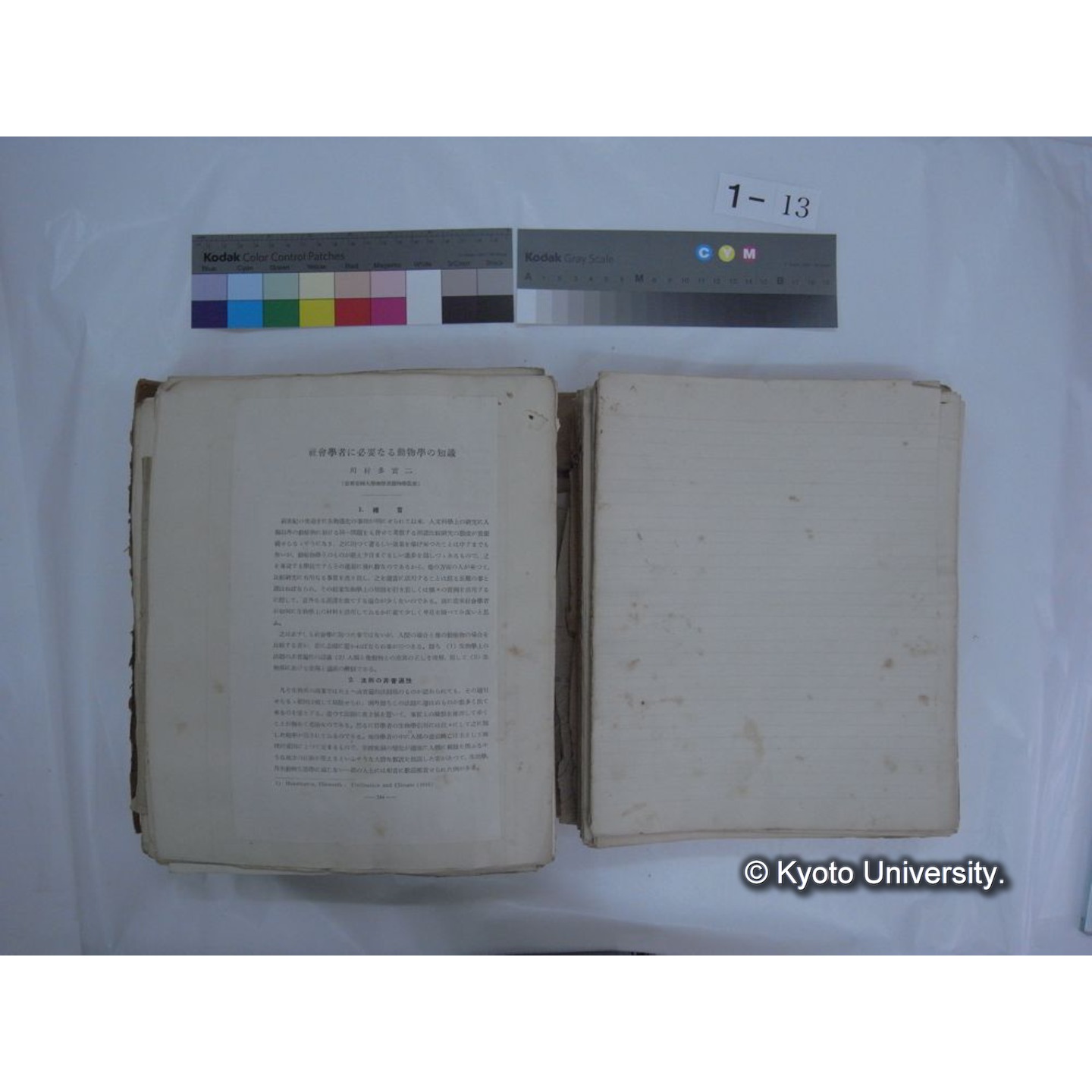 自著旧文 [直筆・著作複写・抜き刷りなど] / 川村多實二 (42)