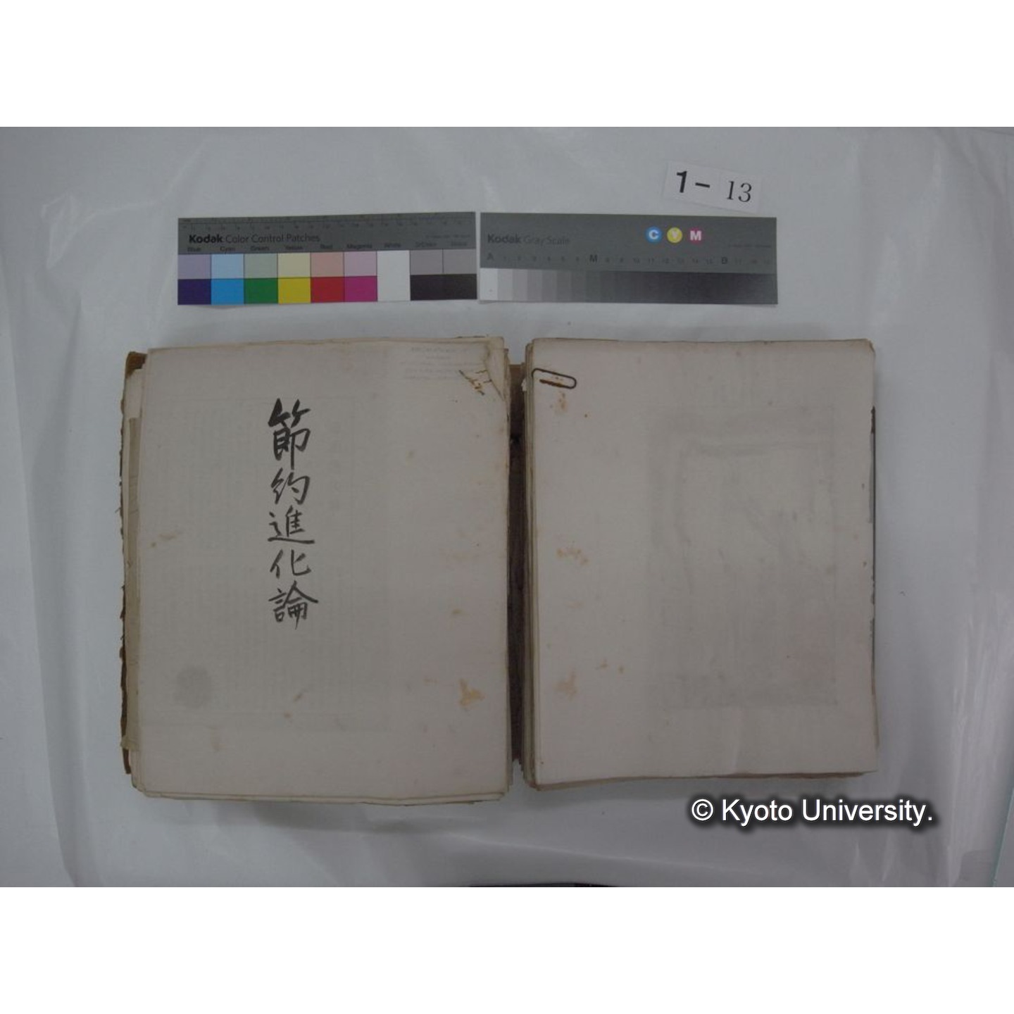 自著旧文 [直筆・著作複写・抜き刷りなど] / 川村多實二 (46)