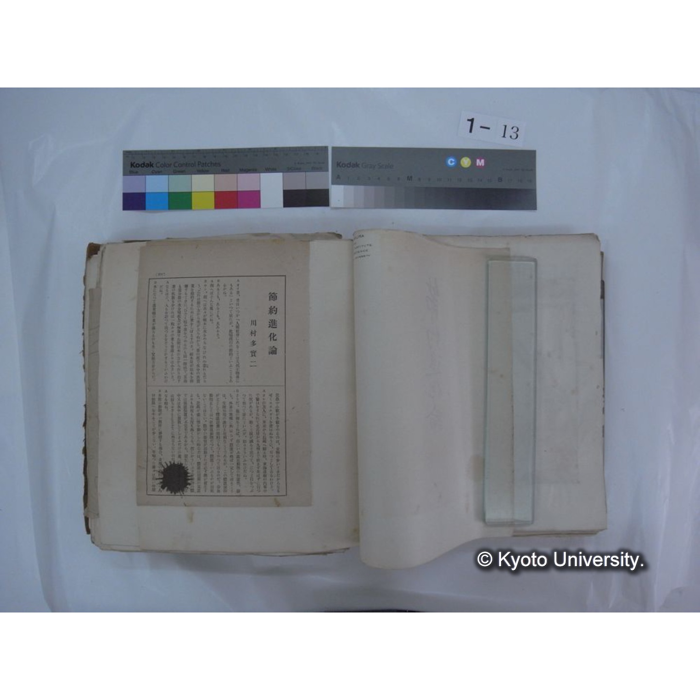 自著旧文 [直筆・著作複写・抜き刷りなど] / 川村多實二 (47)