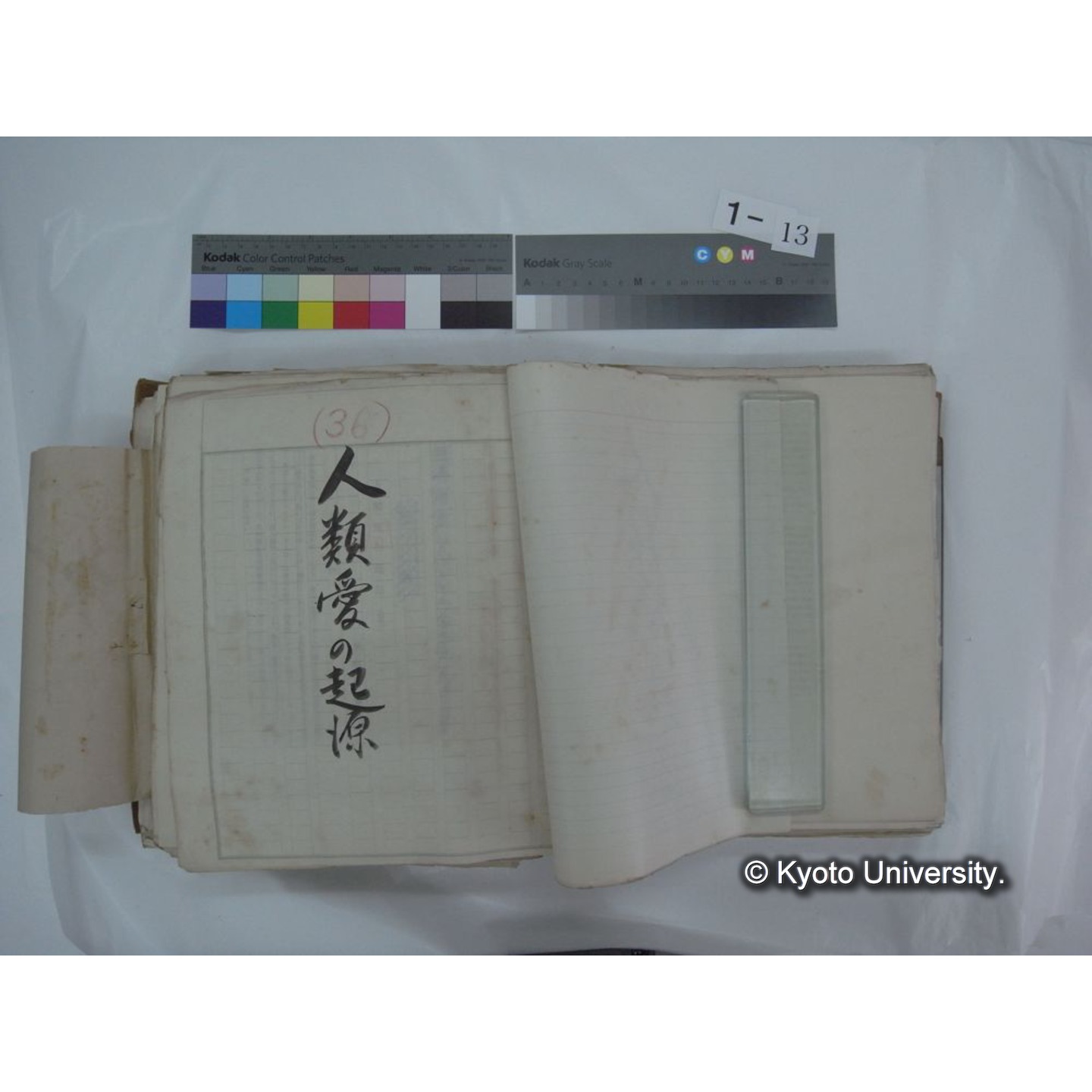 自著旧文 [直筆・著作複写・抜き刷りなど] / 川村多實二 (51)