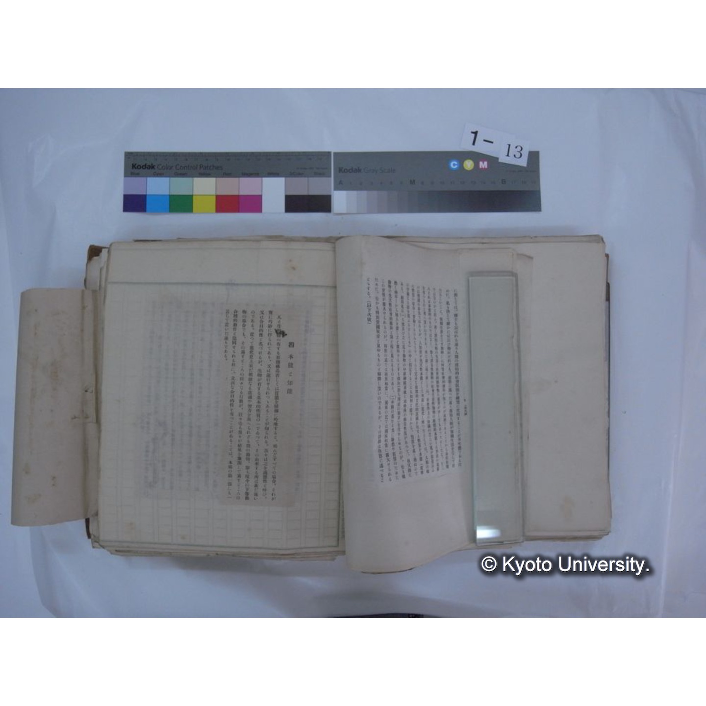 自著旧文 [直筆・著作複写・抜き刷りなど] / 川村多實二 (54)