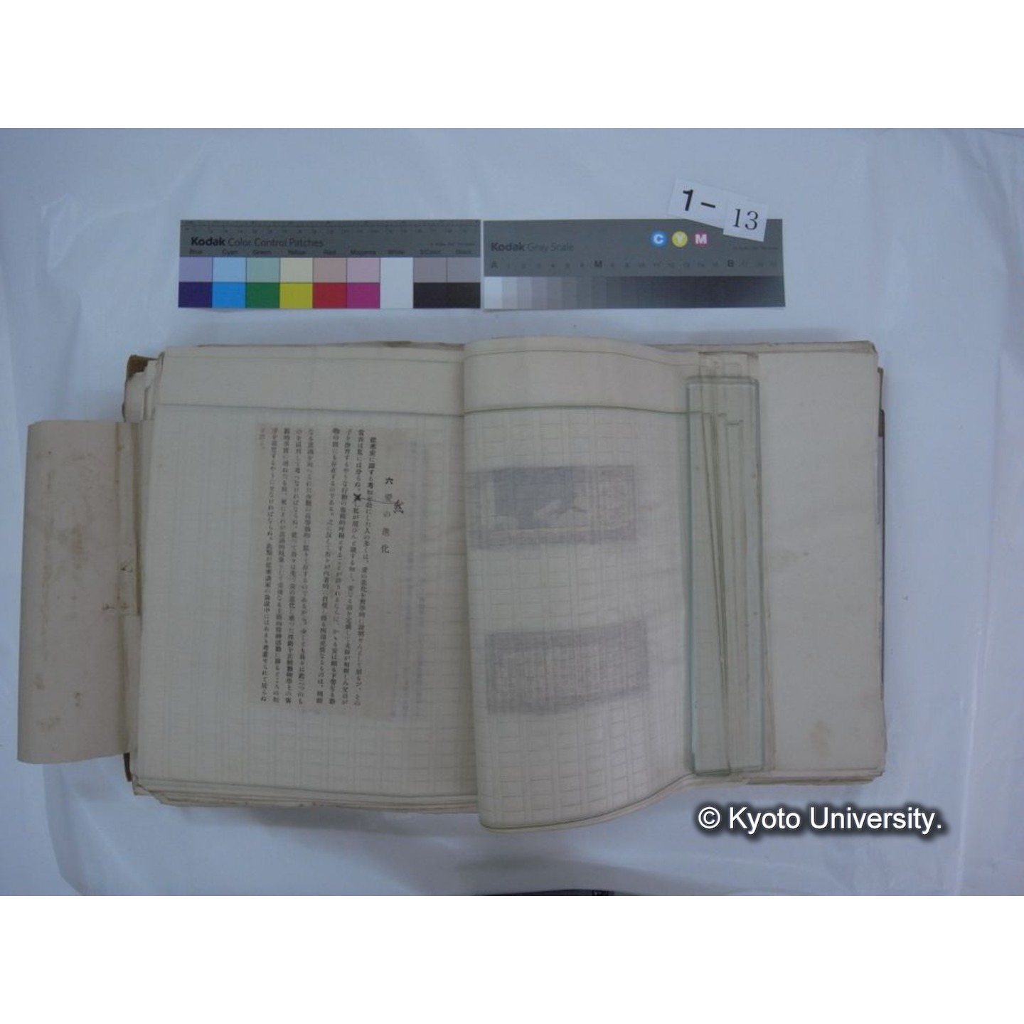 自著旧文 [直筆・著作複写・抜き刷りなど] / 川村多實二 (56)