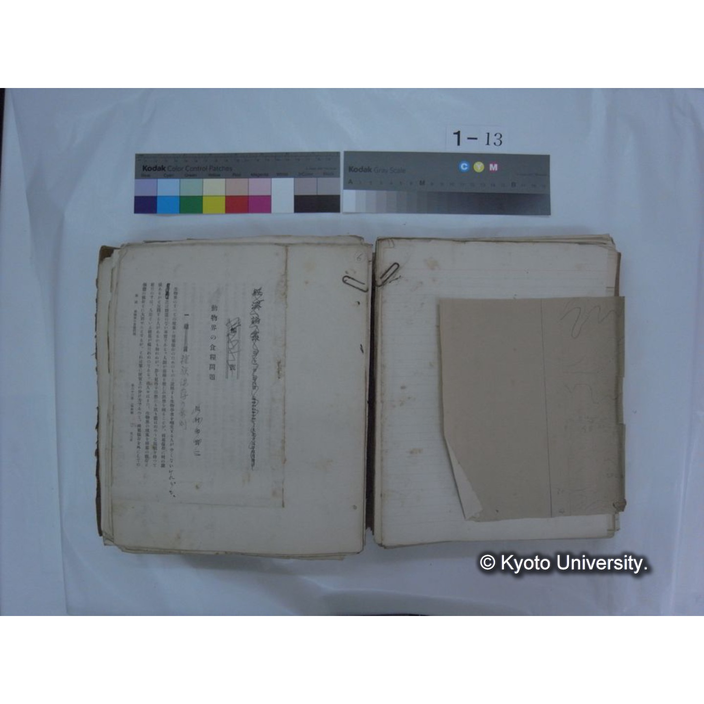 自著旧文 [直筆・著作複写・抜き刷りなど] / 川村多實二 (57)