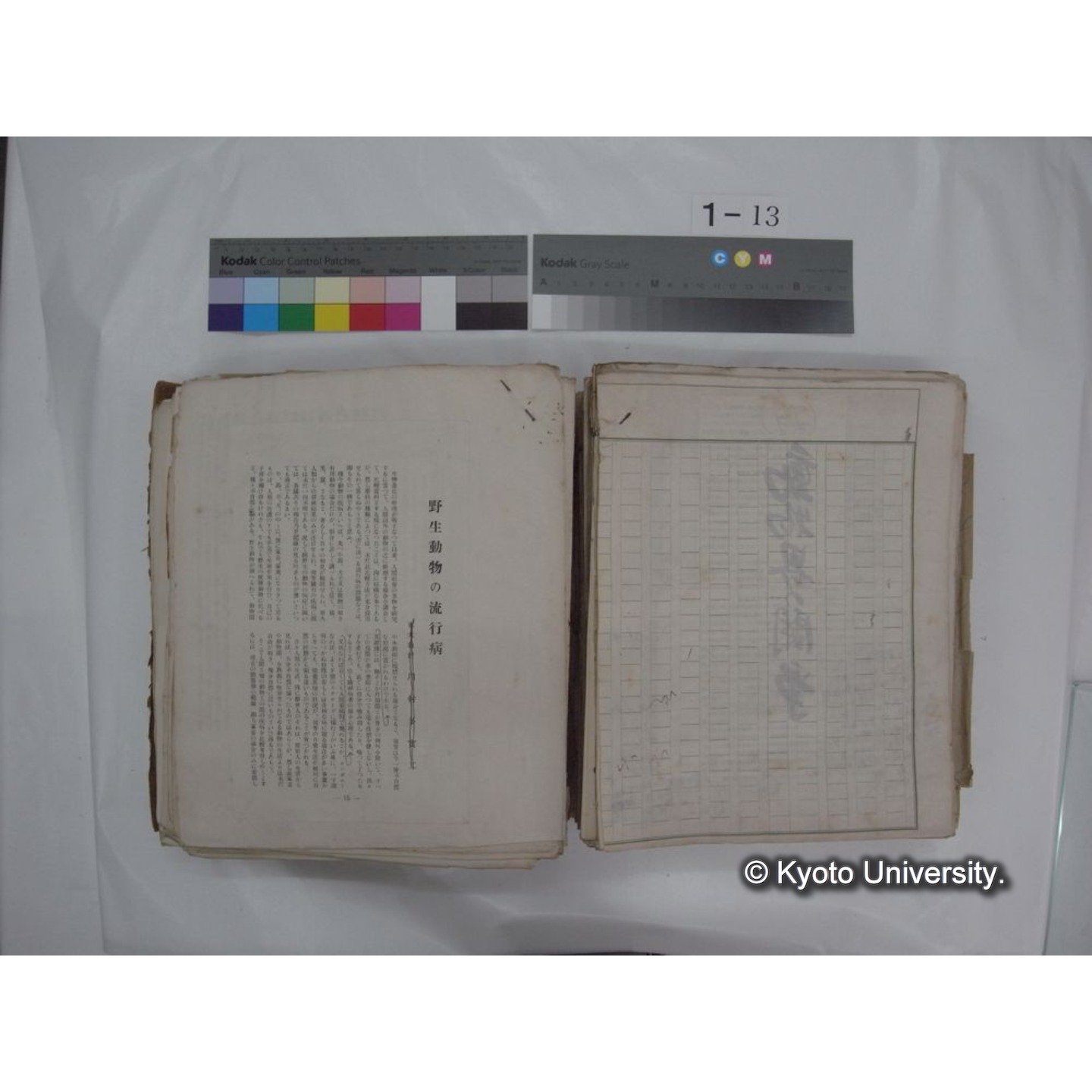 自著旧文 [直筆・著作複写・抜き刷りなど] / 川村多實二 (61)