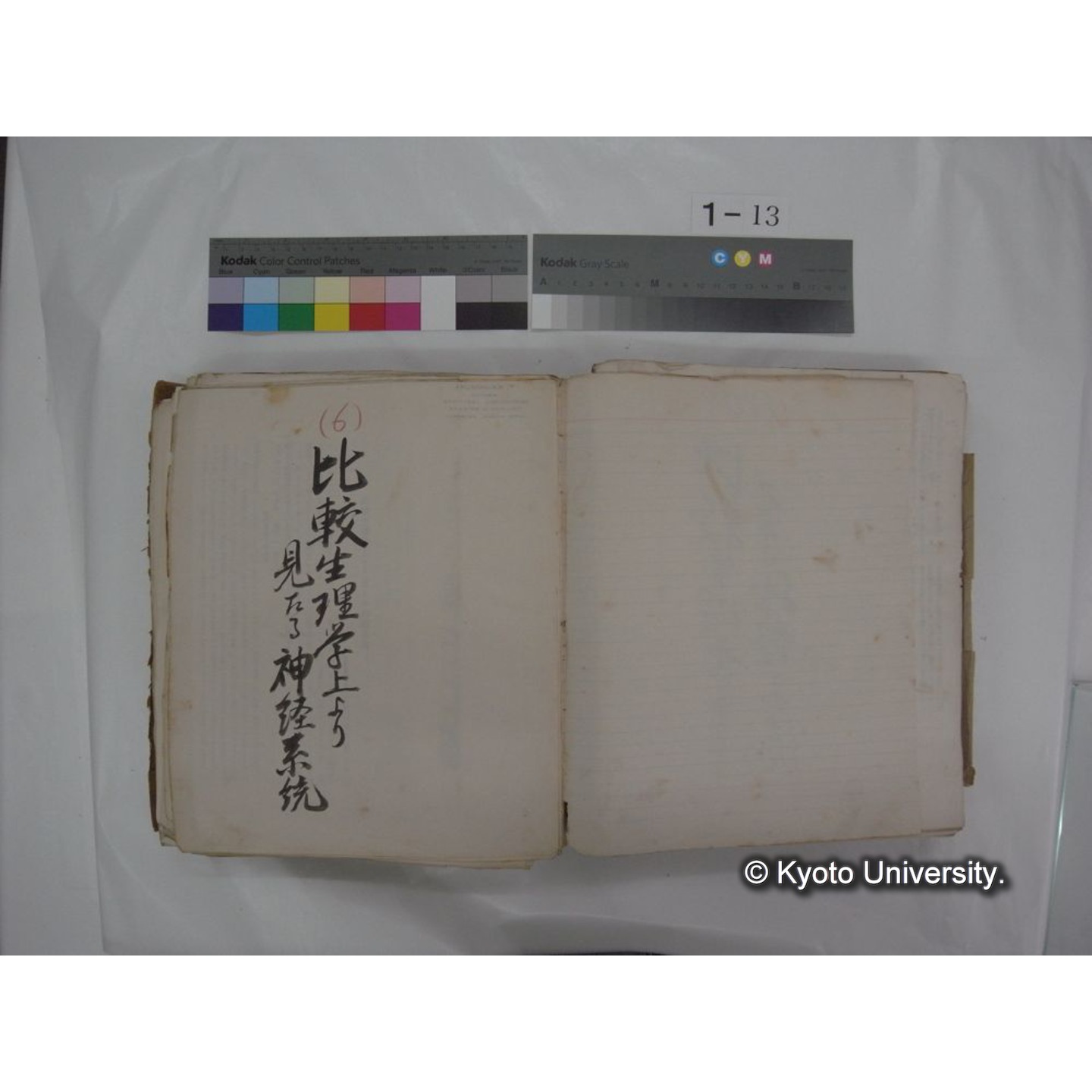 自著旧文 [直筆・著作複写・抜き刷りなど] / 川村多實二 (63)