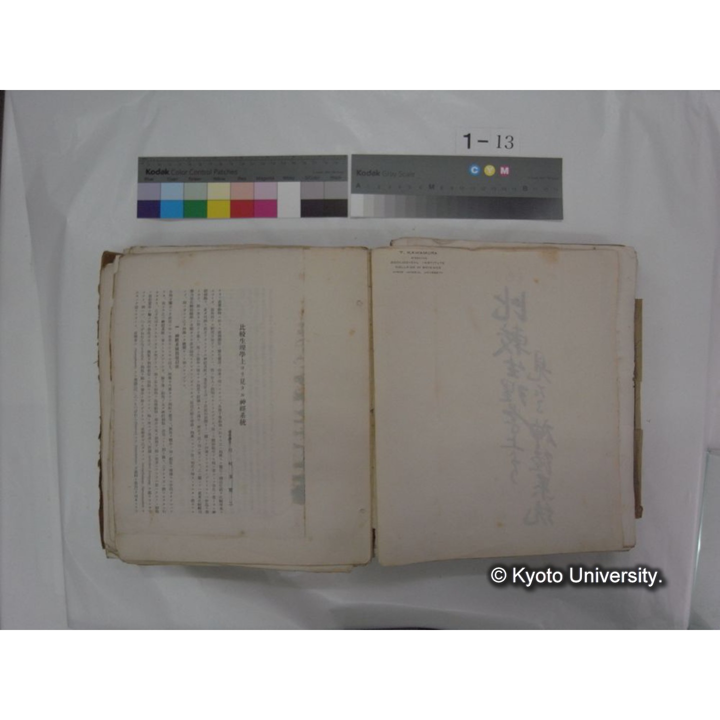 自著旧文 [直筆・著作複写・抜き刷りなど] / 川村多實二 (64)