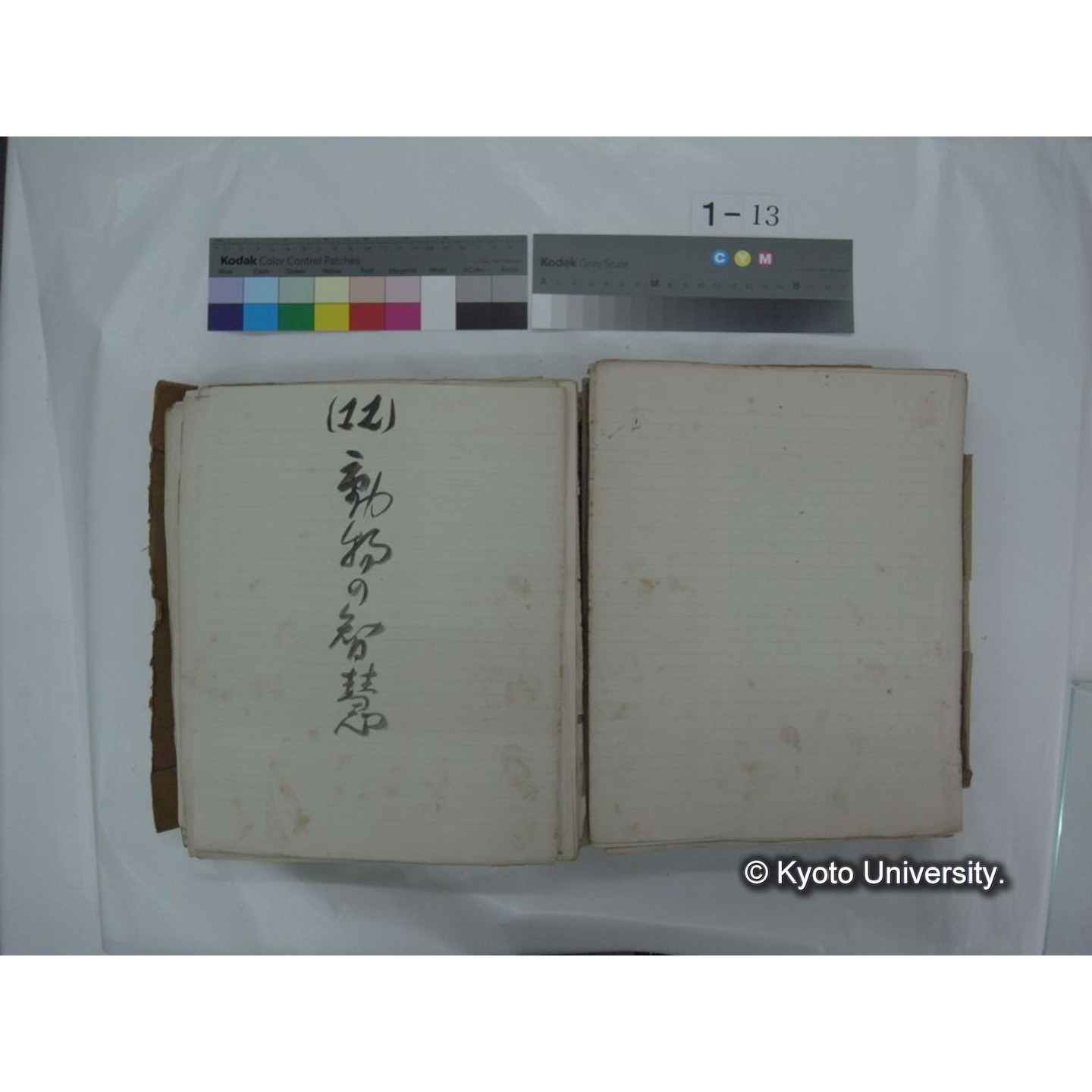 自著旧文 [直筆・著作複写・抜き刷りなど] / 川村多實二 (65)