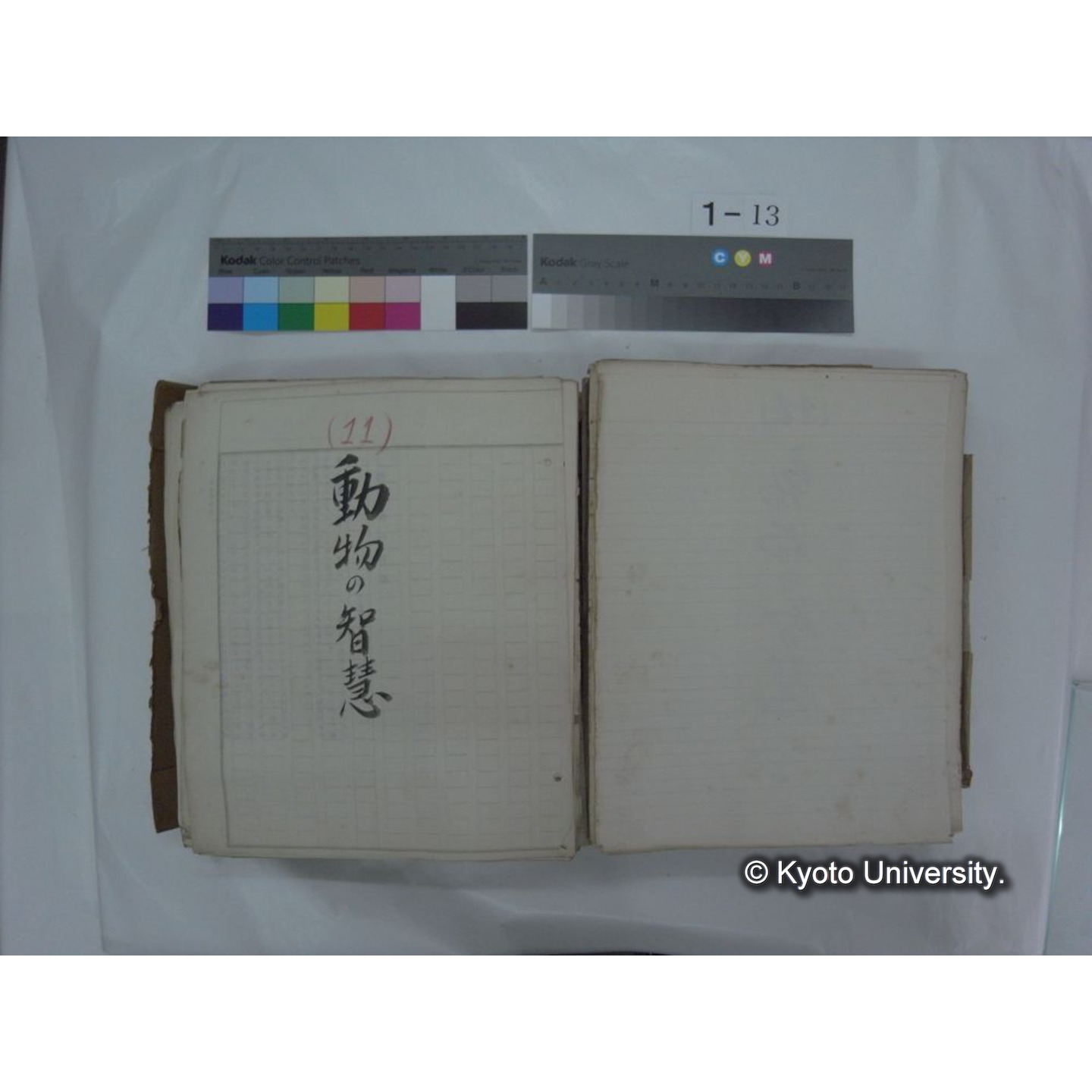 自著旧文 [直筆・著作複写・抜き刷りなど] / 川村多實二 (66)