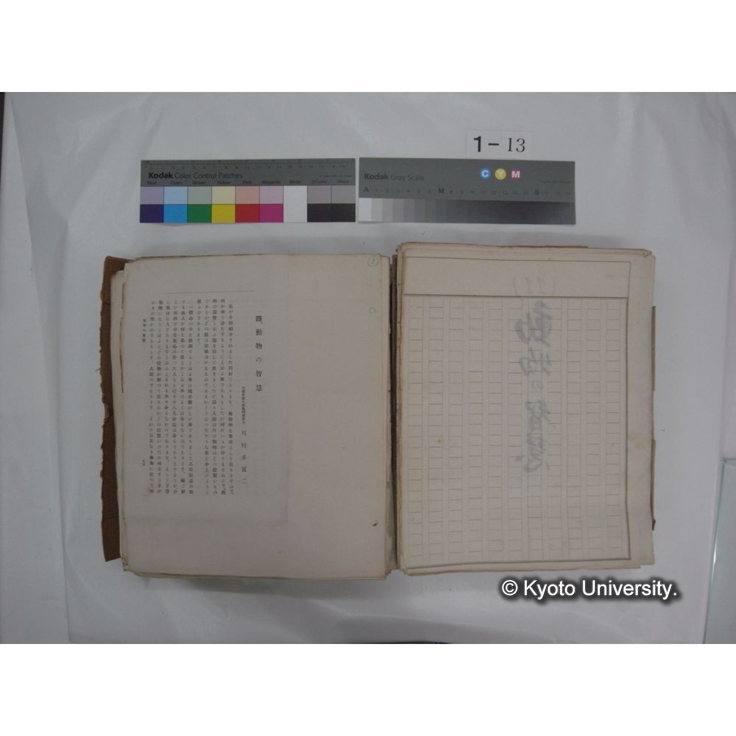 自著旧文 [直筆・著作複写・抜き刷りなど] / 川村多實二 (67)