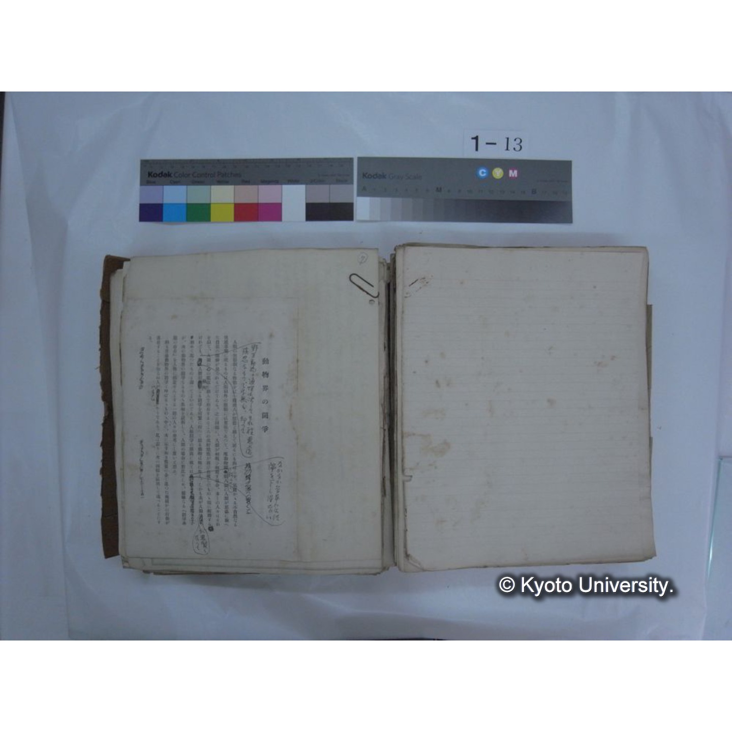 自著旧文 [直筆・著作複写・抜き刷りなど] / 川村多實二 (68)