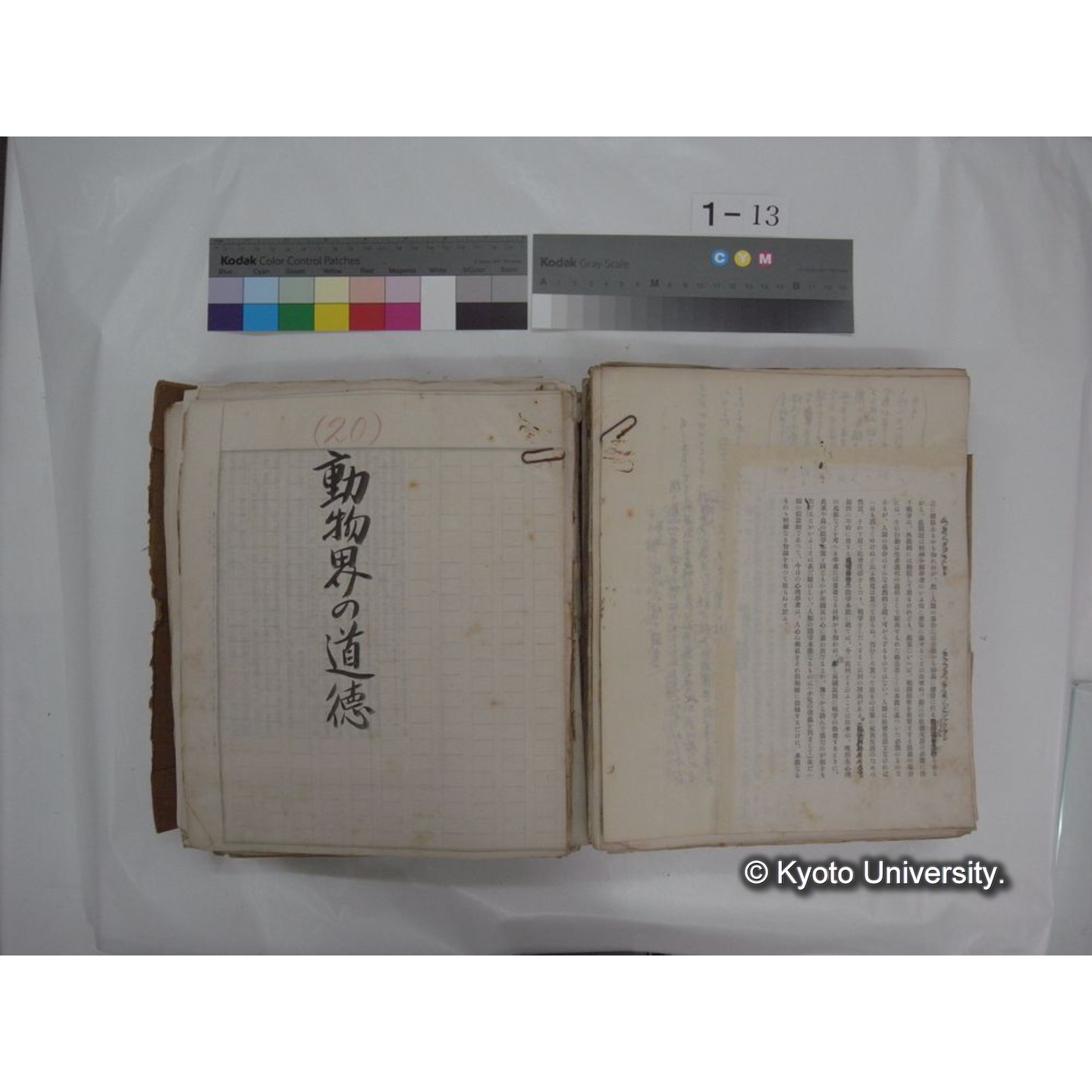 自著旧文 [直筆・著作複写・抜き刷りなど] / 川村多實二 (69)