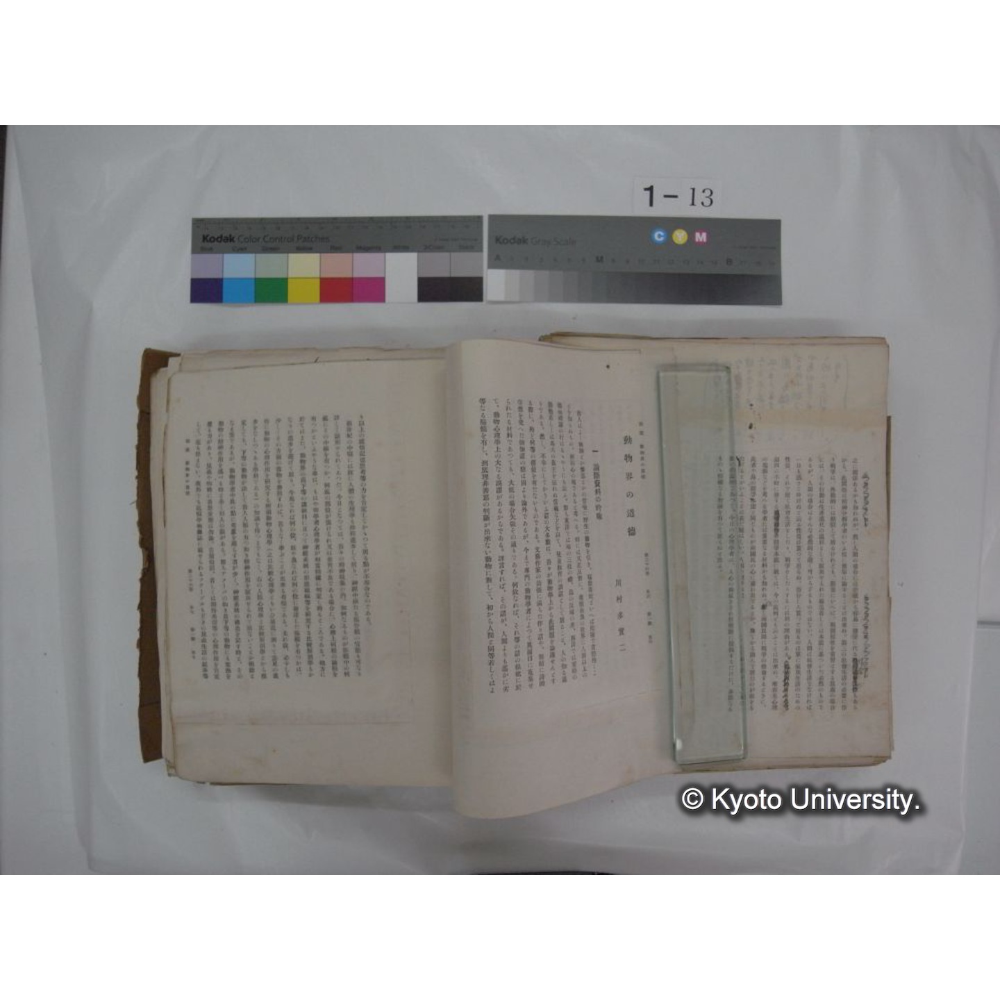 自著旧文 [直筆・著作複写・抜き刷りなど] / 川村多實二 (70)