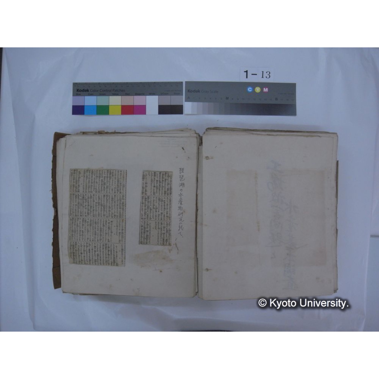 自著旧文 [直筆・著作複写・抜き刷りなど] / 川村多實二 (73)