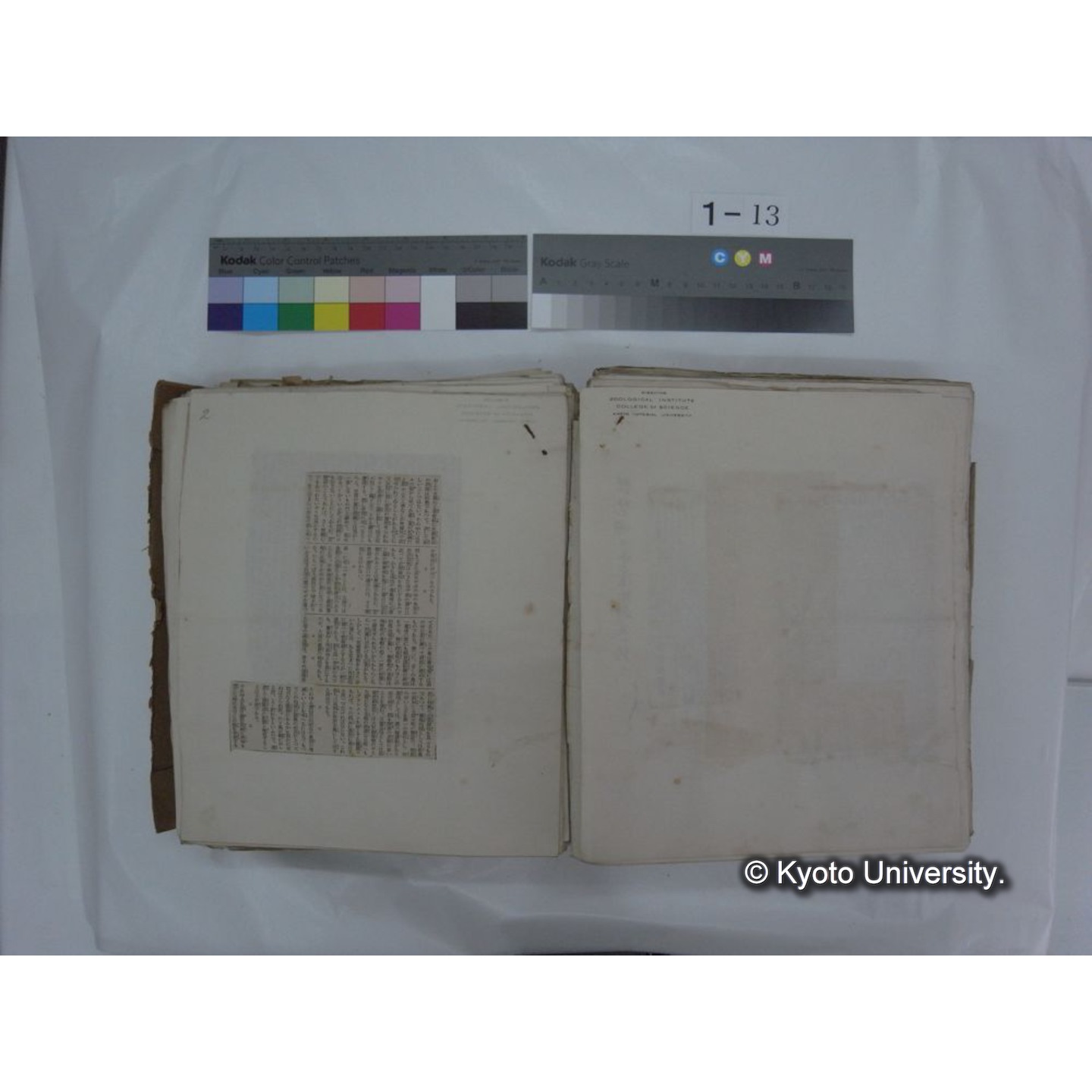 自著旧文 [直筆・著作複写・抜き刷りなど] / 川村多實二 (74)