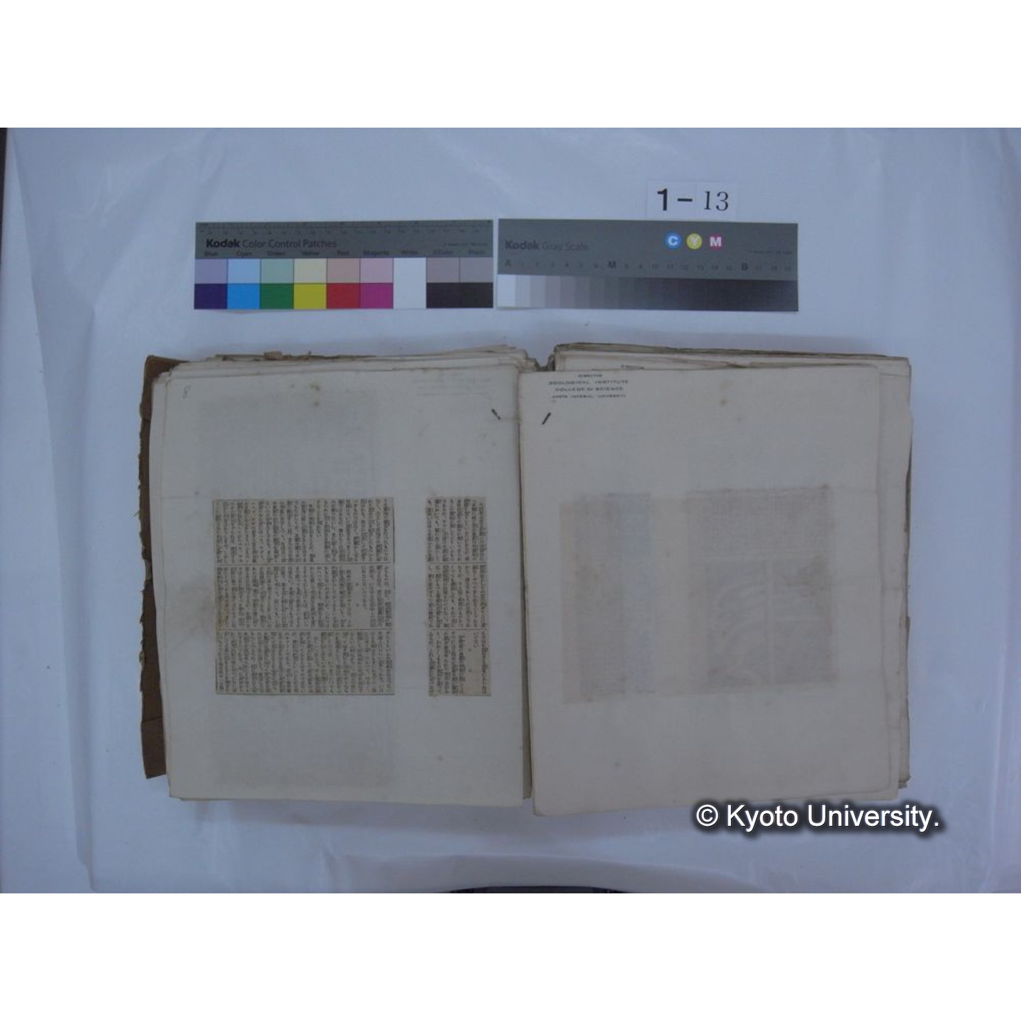 自著旧文 [直筆・著作複写・抜き刷りなど] / 川村多實二 (80)