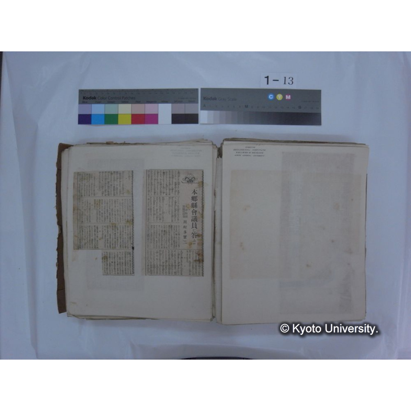 自著旧文 [直筆・著作複写・抜き刷りなど] / 川村多實二 (89)