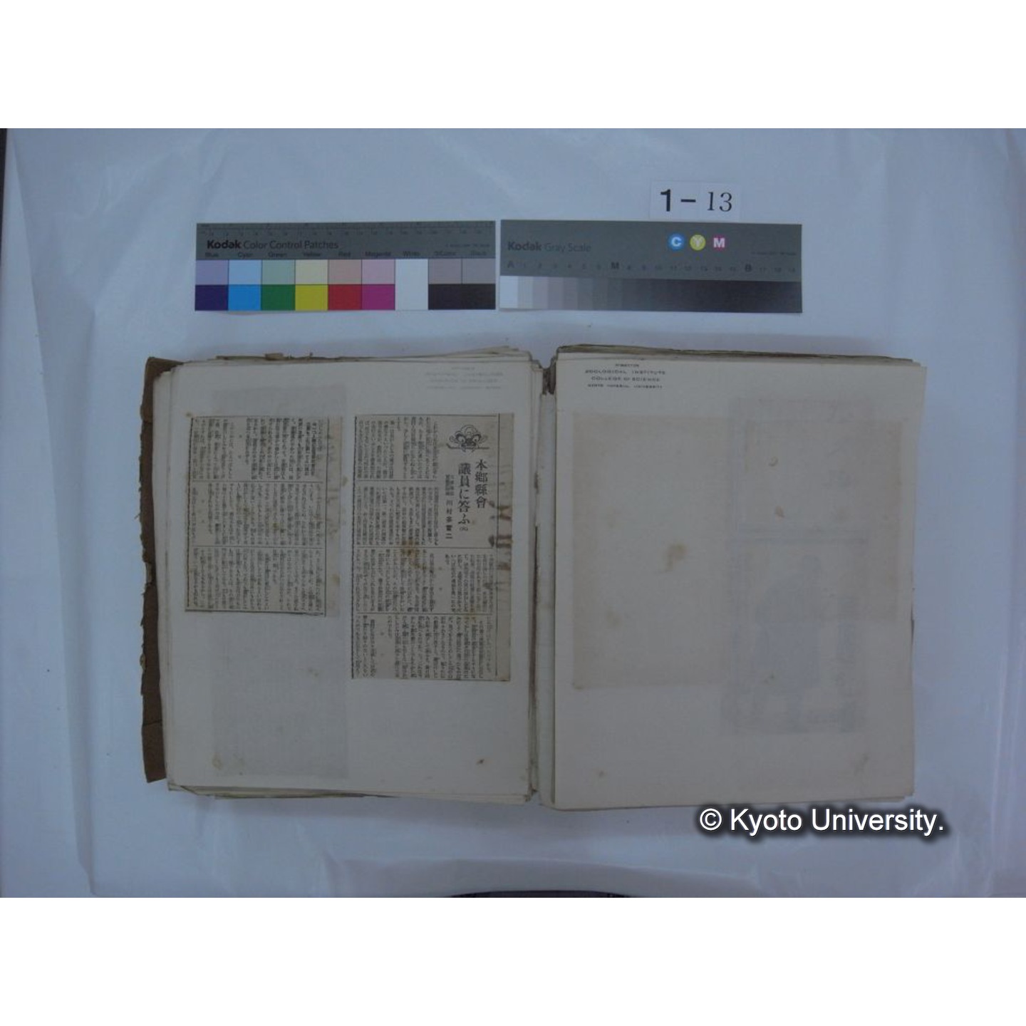 自著旧文 [直筆・著作複写・抜き刷りなど] / 川村多實二 (91)