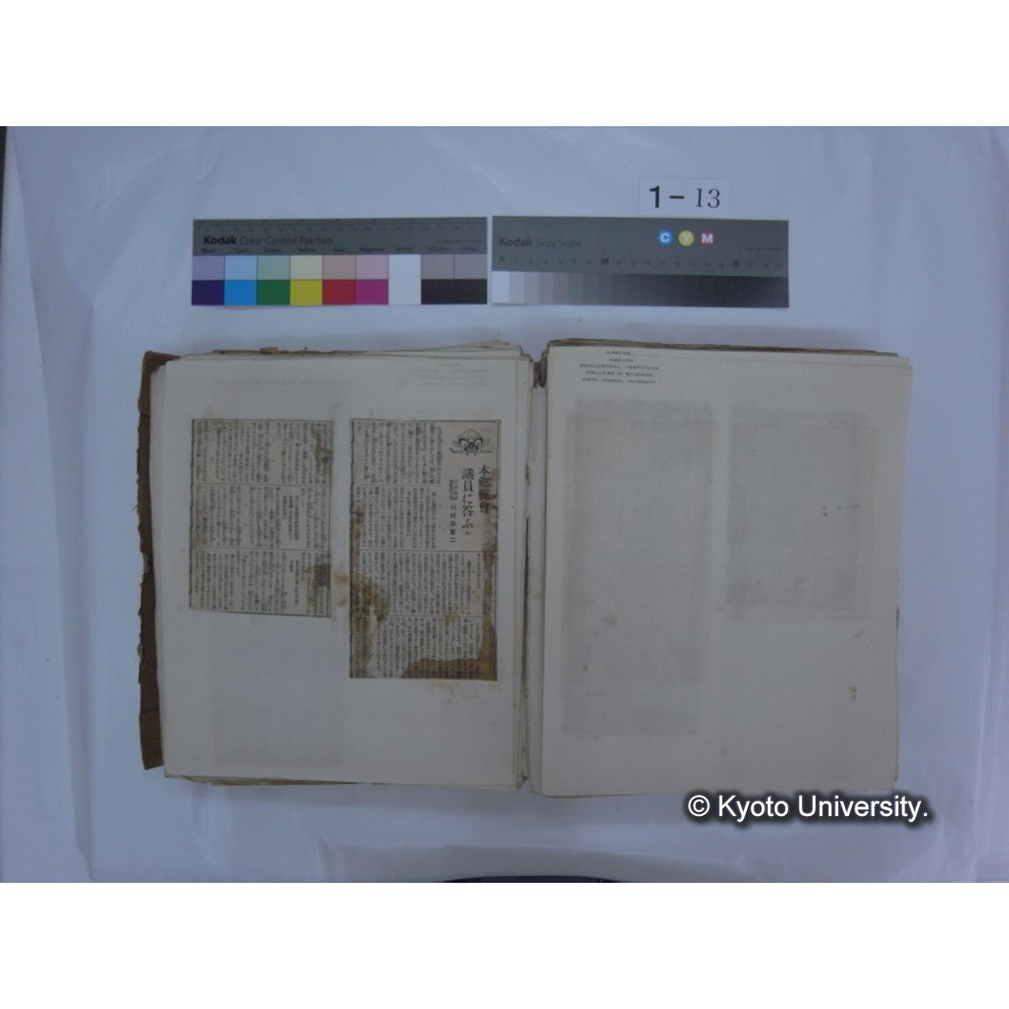 自著旧文 [直筆・著作複写・抜き刷りなど] / 川村多實二 (94)