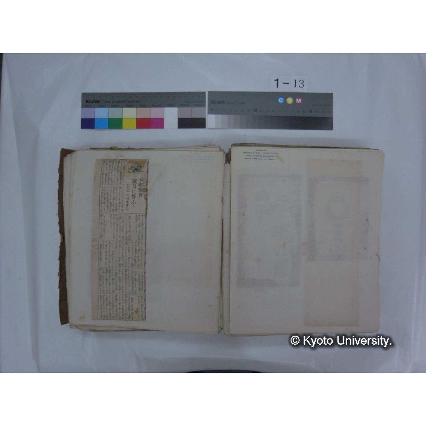 自著旧文 [直筆・著作複写・抜き刷りなど] / 川村多實二 (95)