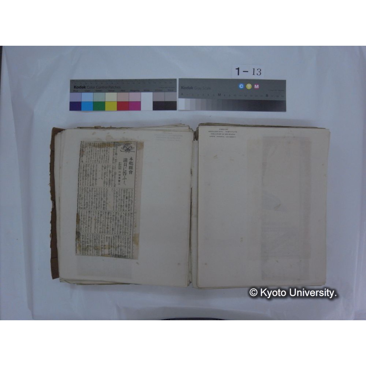 自著旧文 [直筆・著作複写・抜き刷りなど] / 川村多實二 (96)