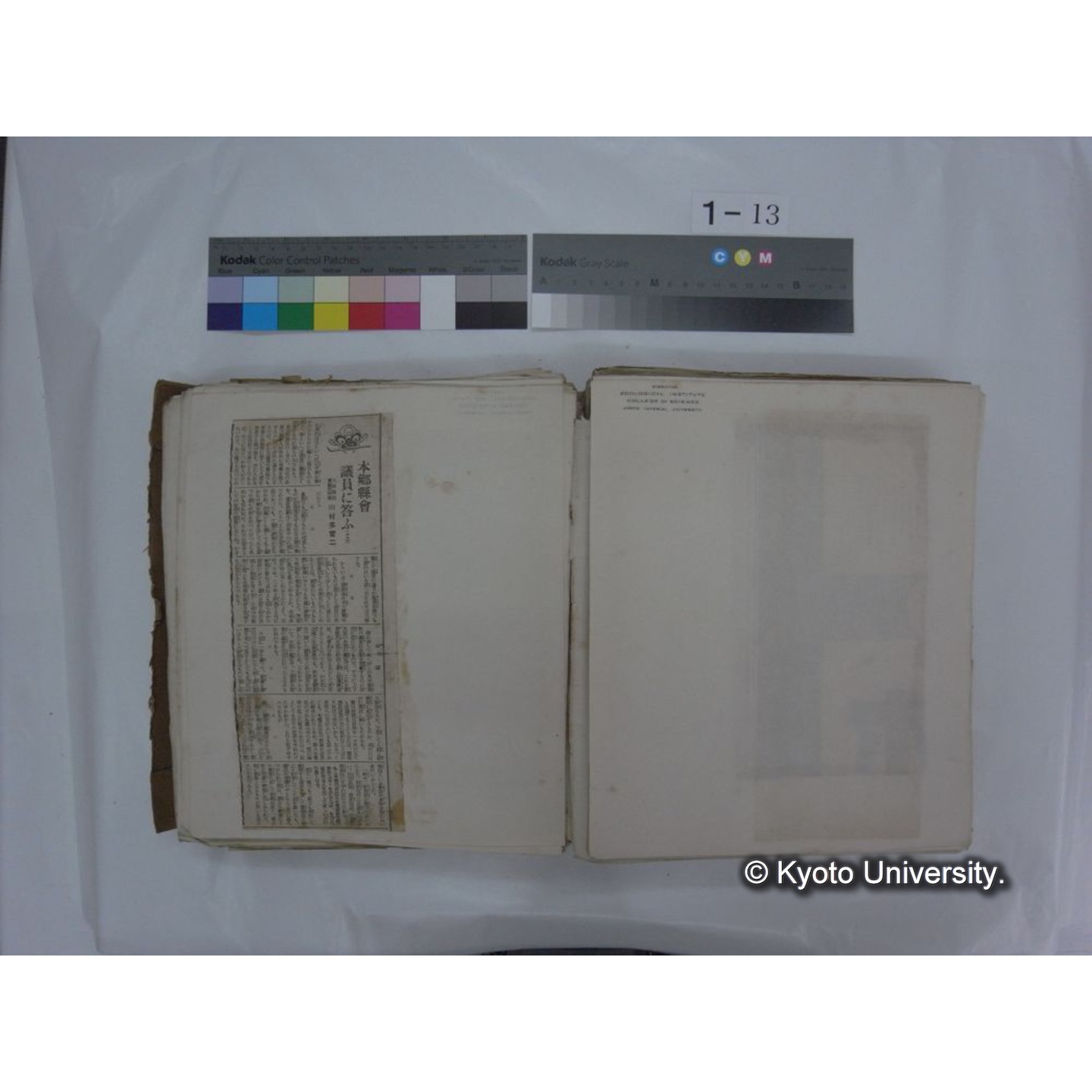 自著旧文 [直筆・著作複写・抜き刷りなど] / 川村多實二 (97)