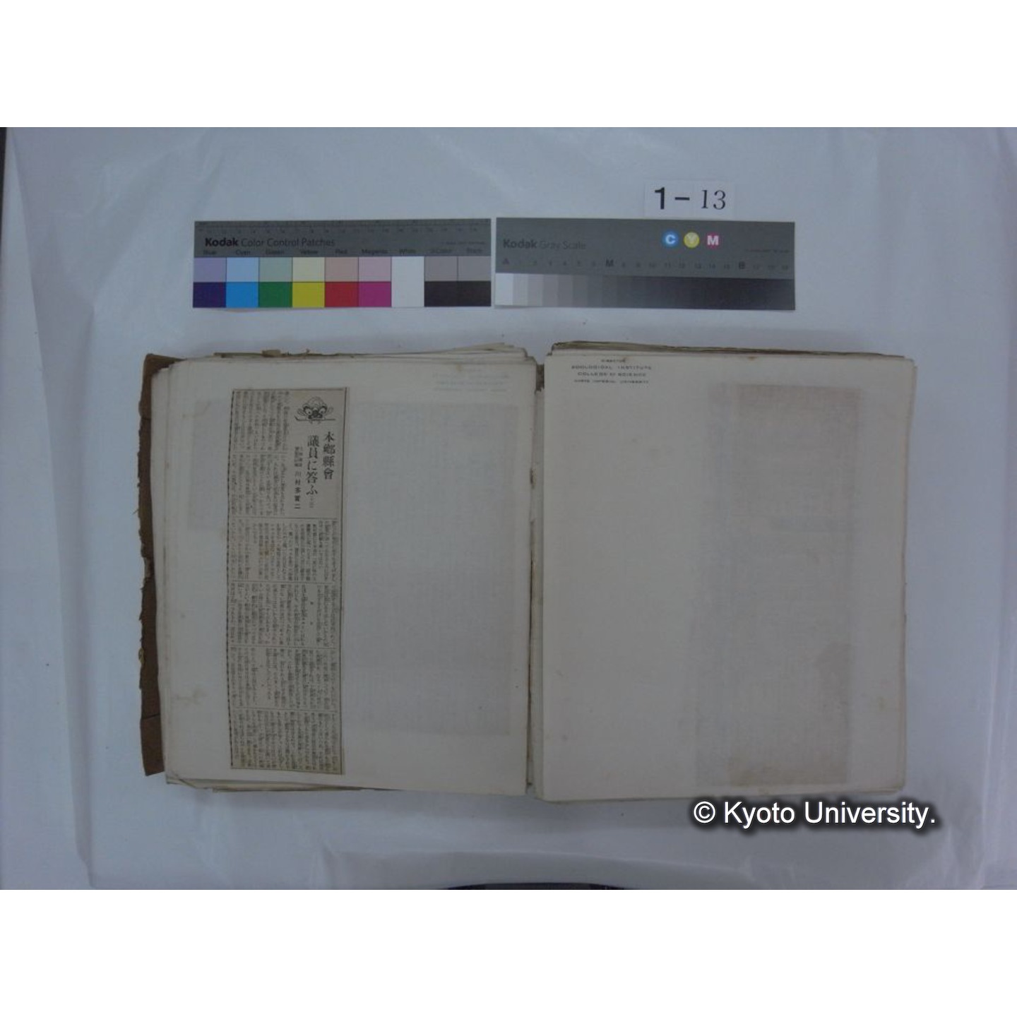 自著旧文 [直筆・著作複写・抜き刷りなど] / 川村多實二 (98)