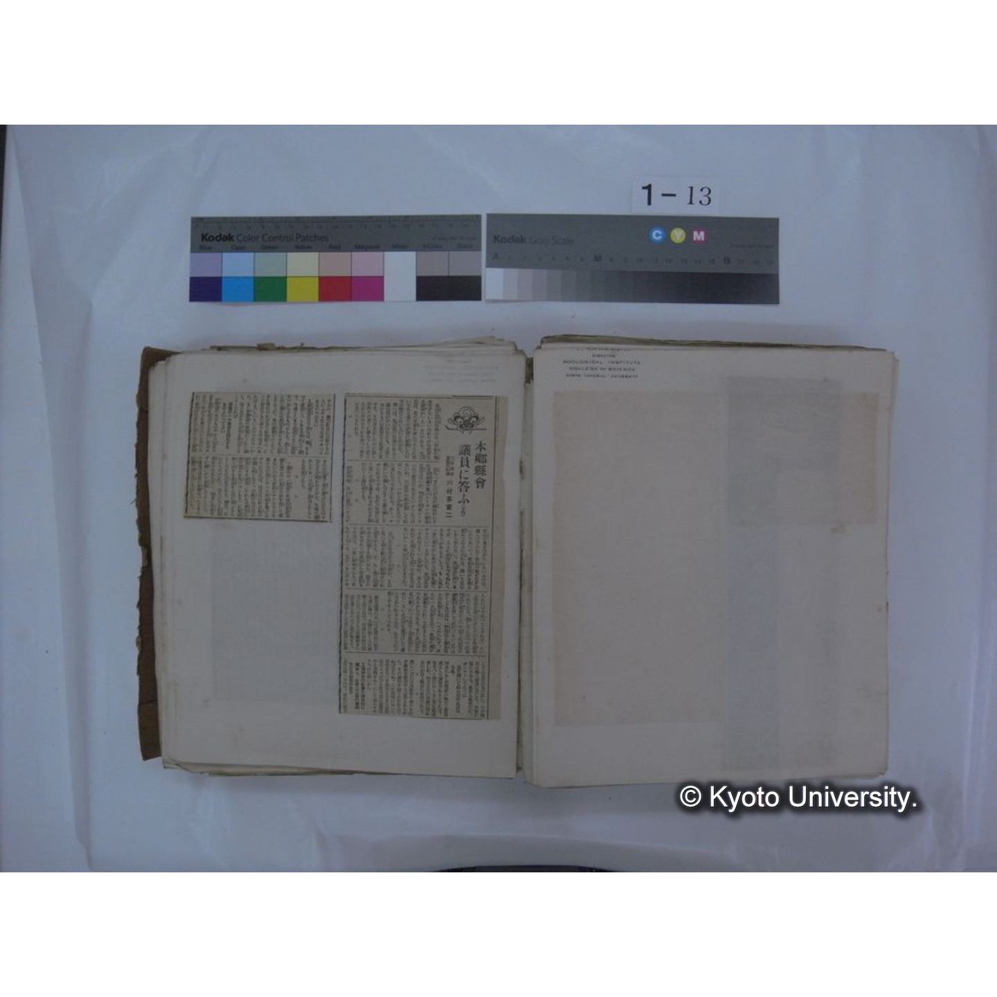 自著旧文 [直筆・著作複写・抜き刷りなど] / 川村多實二 (99)