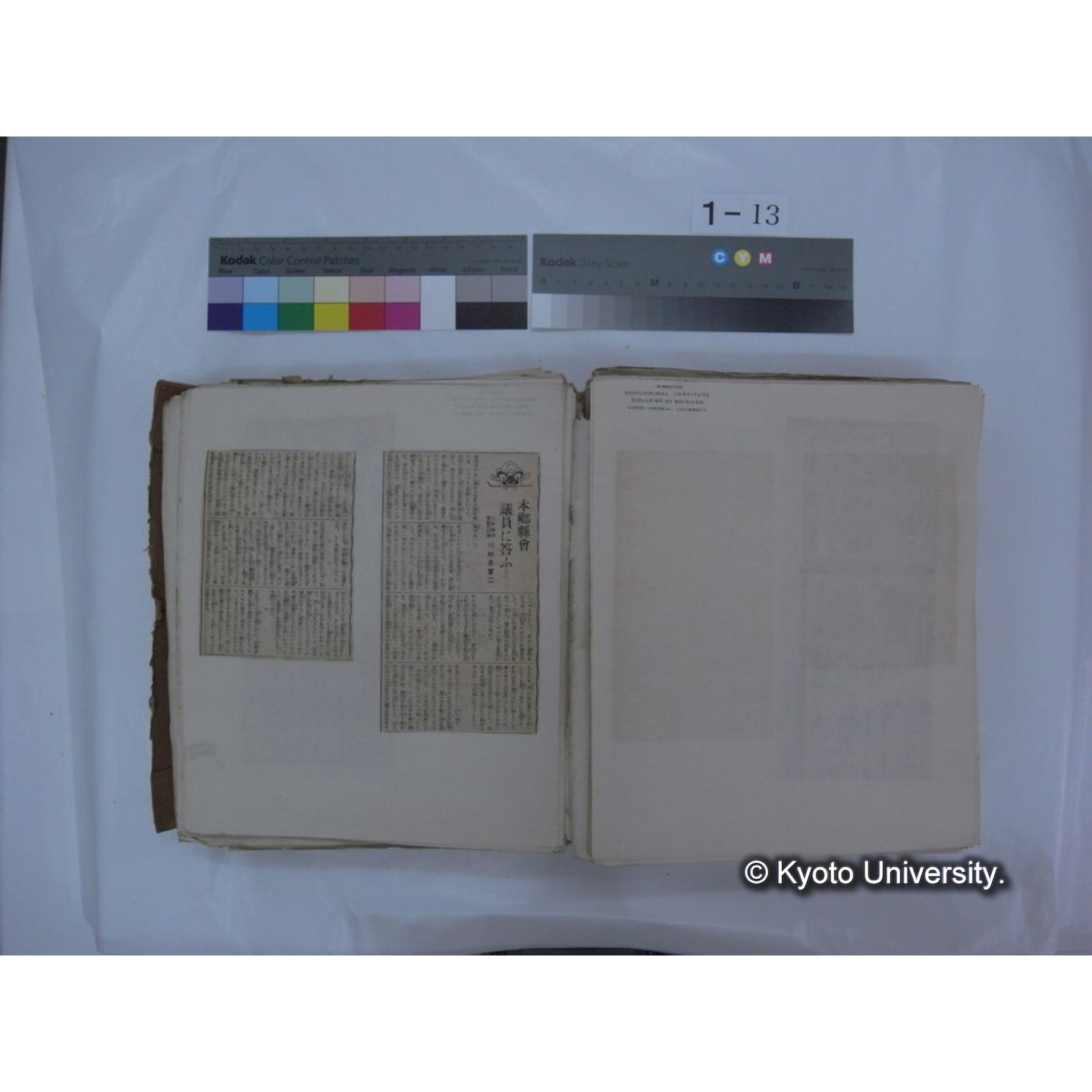 自著旧文 [直筆・著作複写・抜き刷りなど] / 川村多實二 (101)