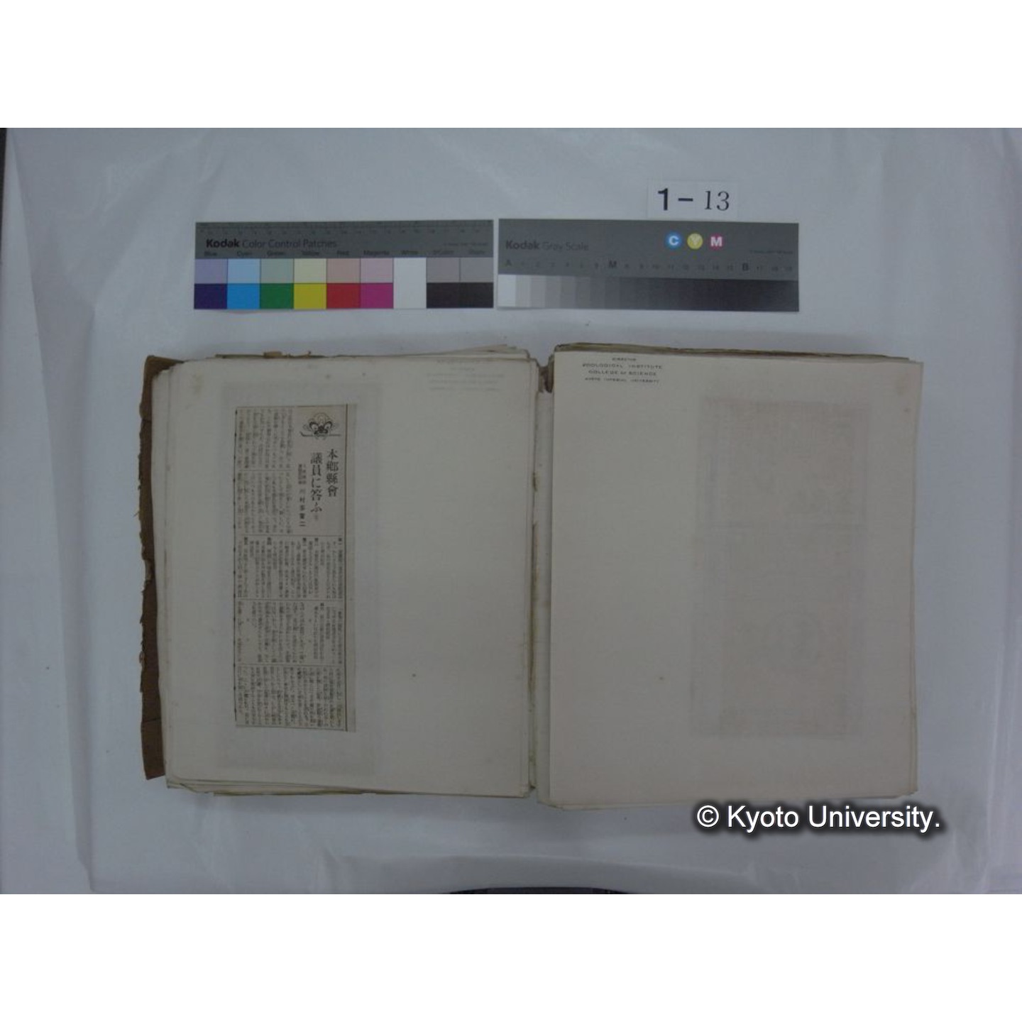 自著旧文 [直筆・著作複写・抜き刷りなど] / 川村多實二 (104)