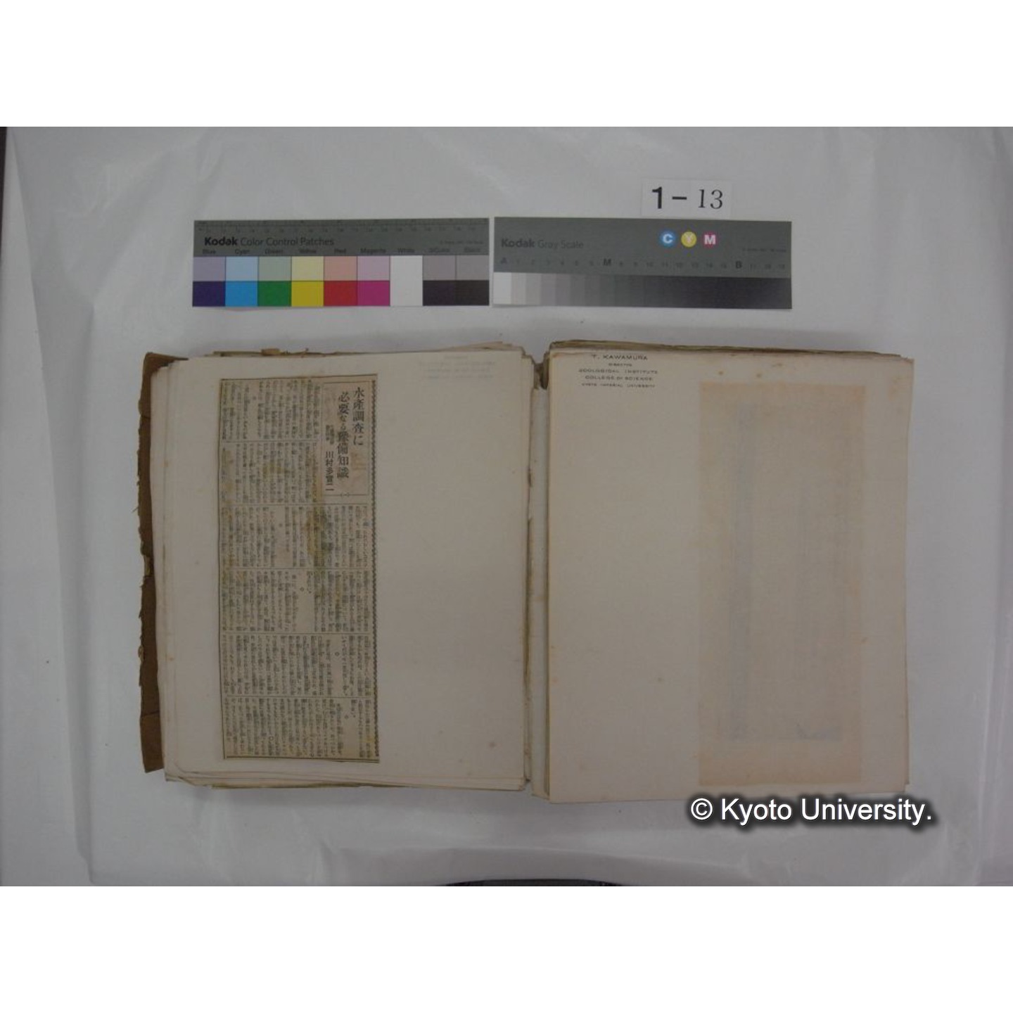 自著旧文 [直筆・著作複写・抜き刷りなど] / 川村多實二 (105)