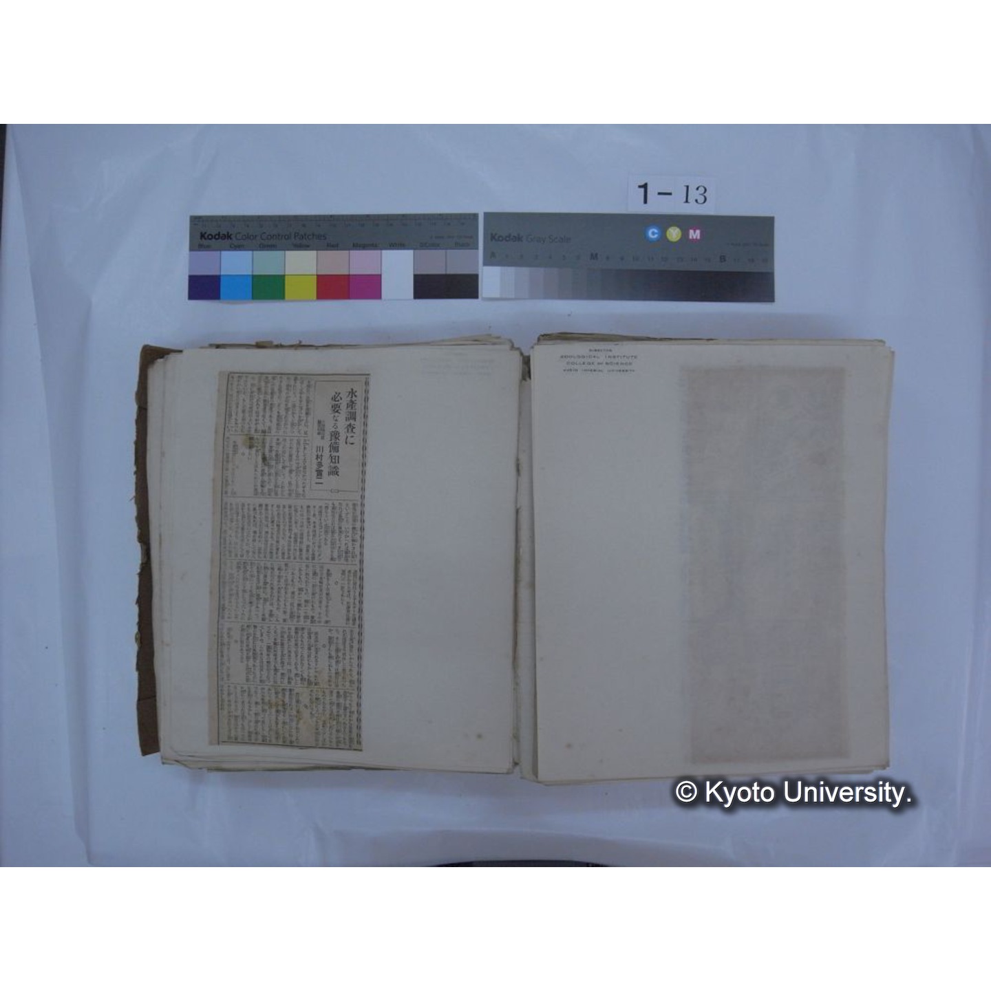 自著旧文 [直筆・著作複写・抜き刷りなど] / 川村多實二 (106)