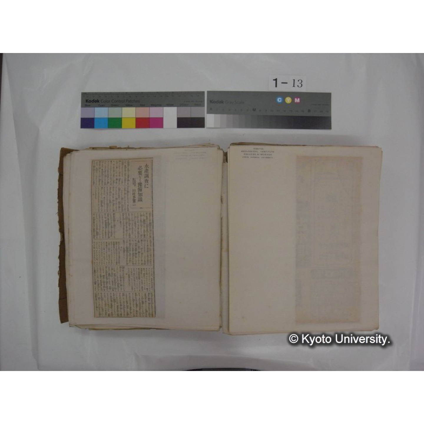 自著旧文 [直筆・著作複写・抜き刷りなど] / 川村多實二 (108)