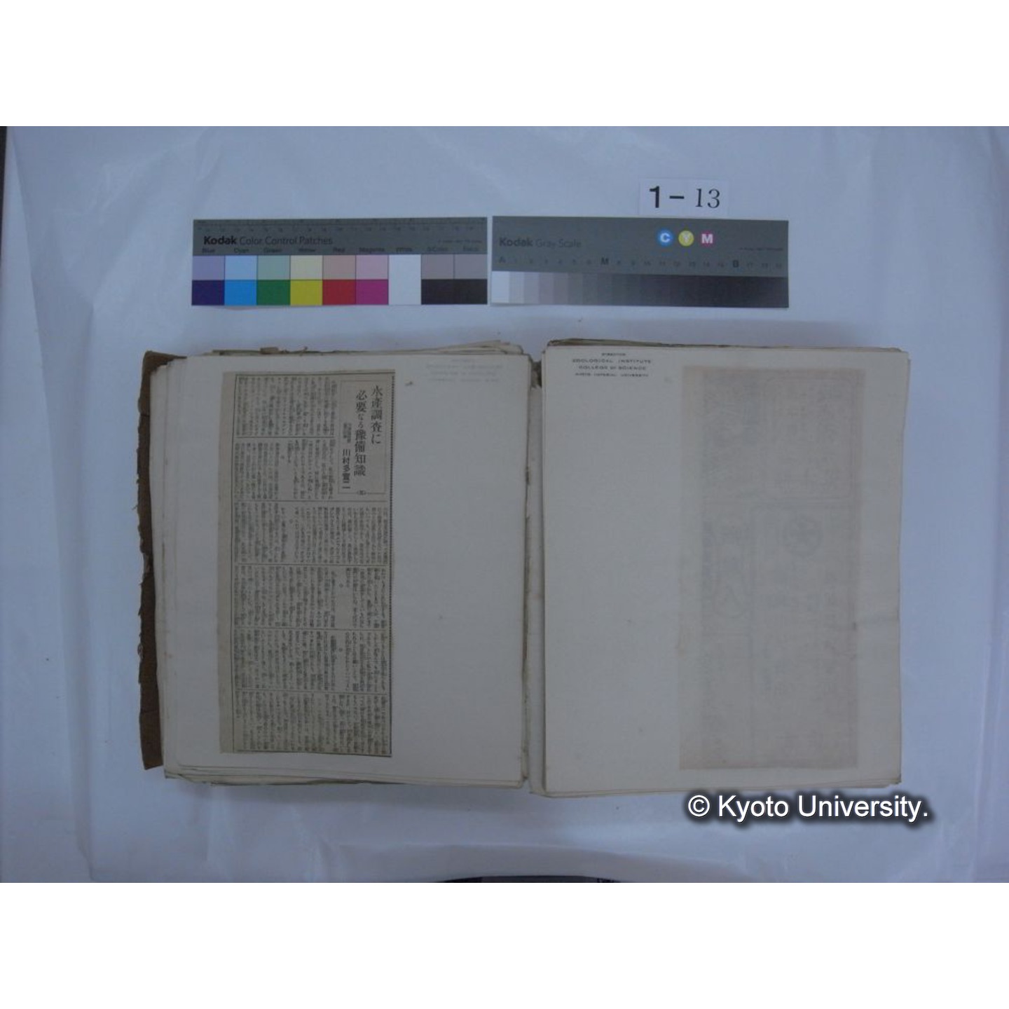 自著旧文 [直筆・著作複写・抜き刷りなど] / 川村多實二 (109)