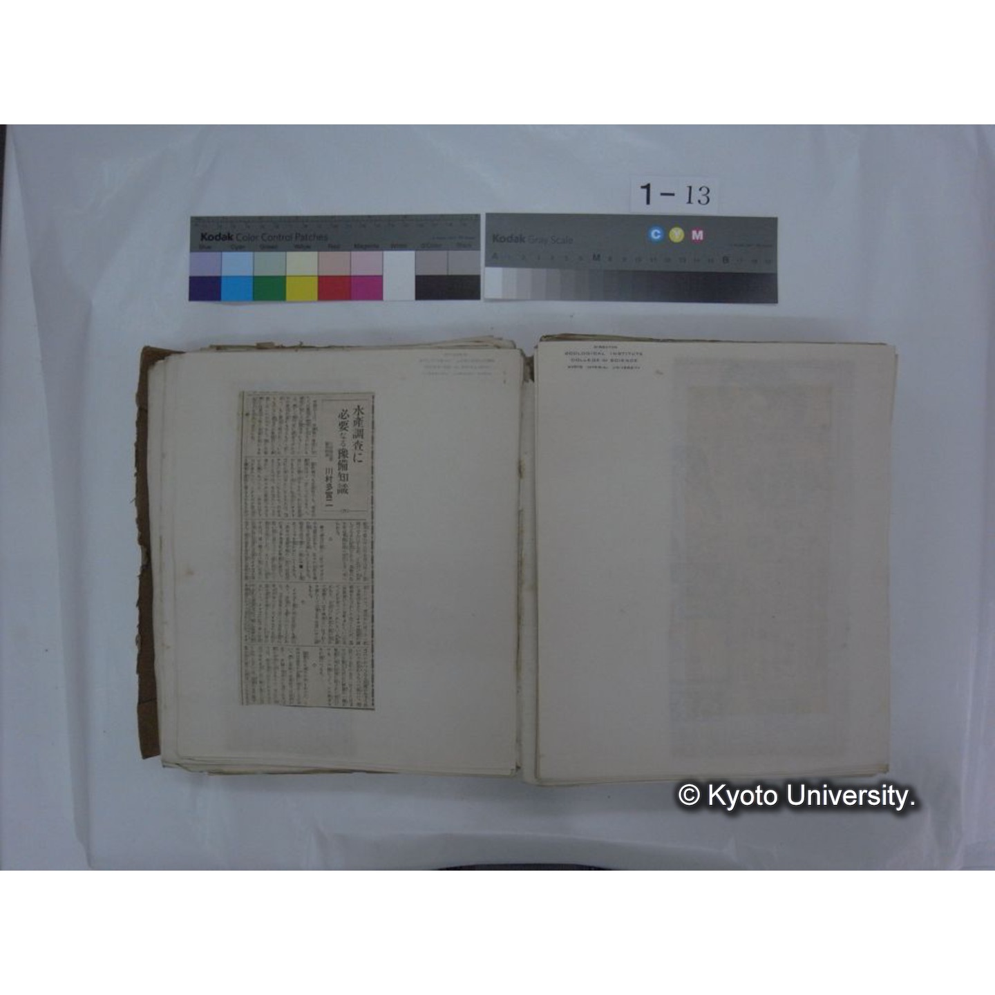 自著旧文 [直筆・著作複写・抜き刷りなど] / 川村多實二 (110)