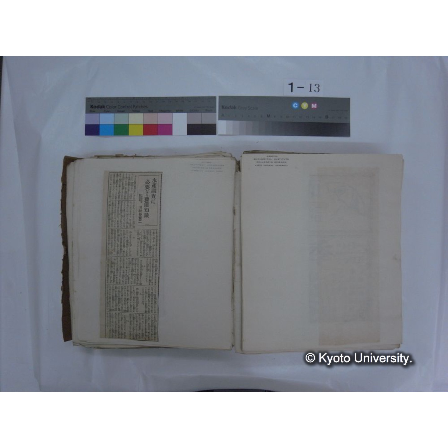 自著旧文 [直筆・著作複写・抜き刷りなど] / 川村多實二 (111)