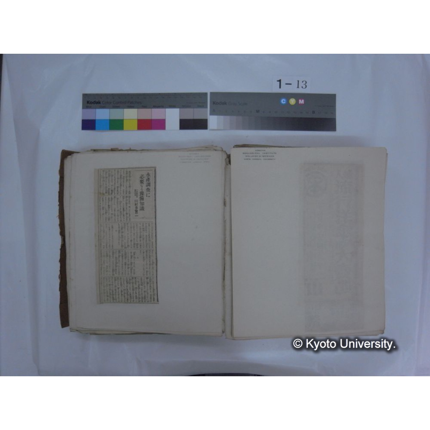 自著旧文 [直筆・著作複写・抜き刷りなど] / 川村多實二 (112)