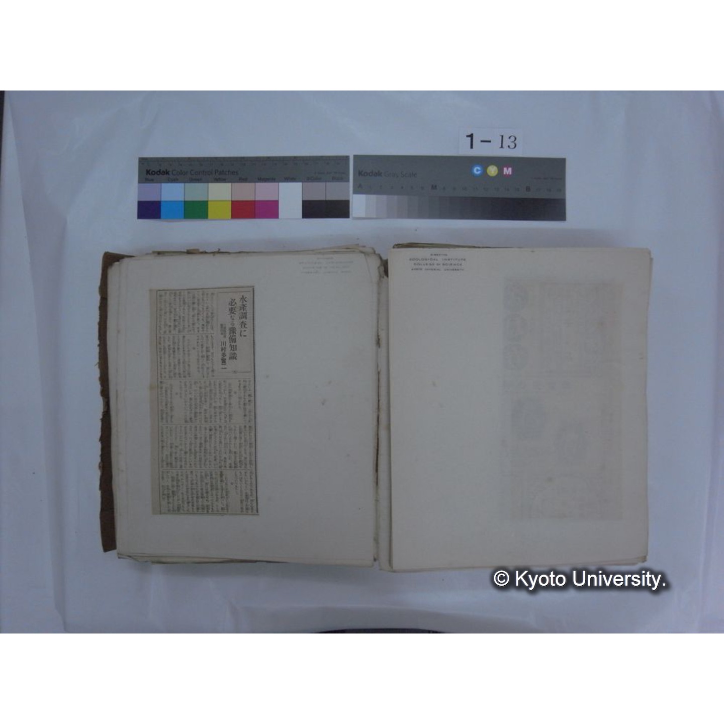 自著旧文 [直筆・著作複写・抜き刷りなど] / 川村多實二 (113)