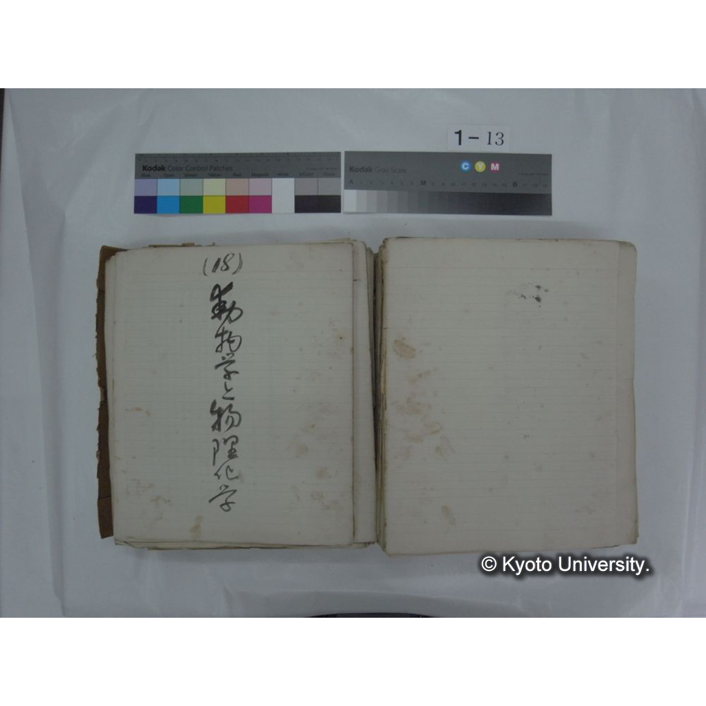 自著旧文 [直筆・著作複写・抜き刷りなど] / 川村多實二 (114)