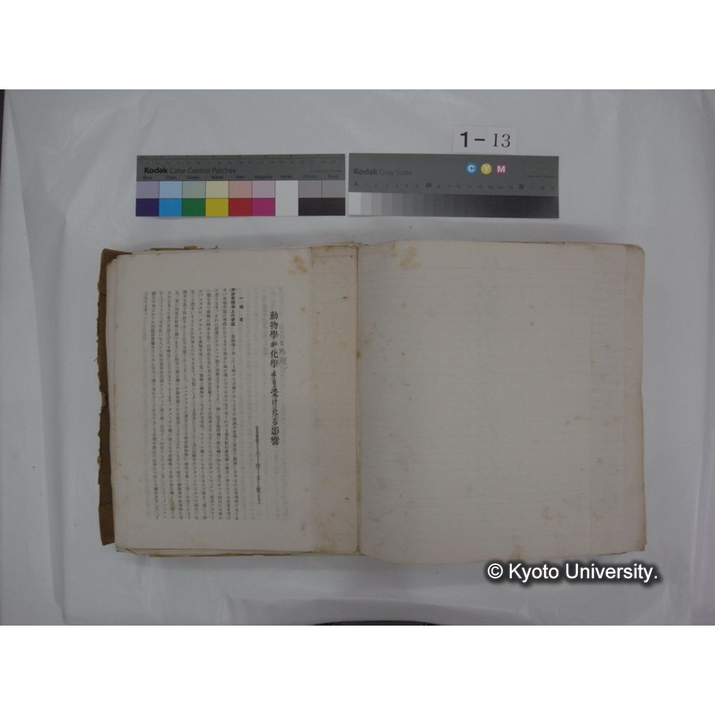 自著旧文 [直筆・著作複写・抜き刷りなど] / 川村多實二 (115)