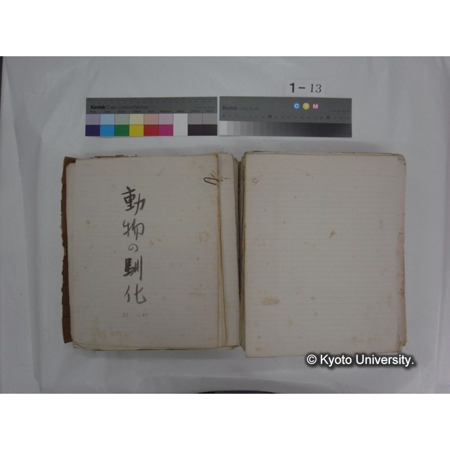 自著旧文 [直筆・著作複写・抜き刷りなど] / 川村多實二 (116)