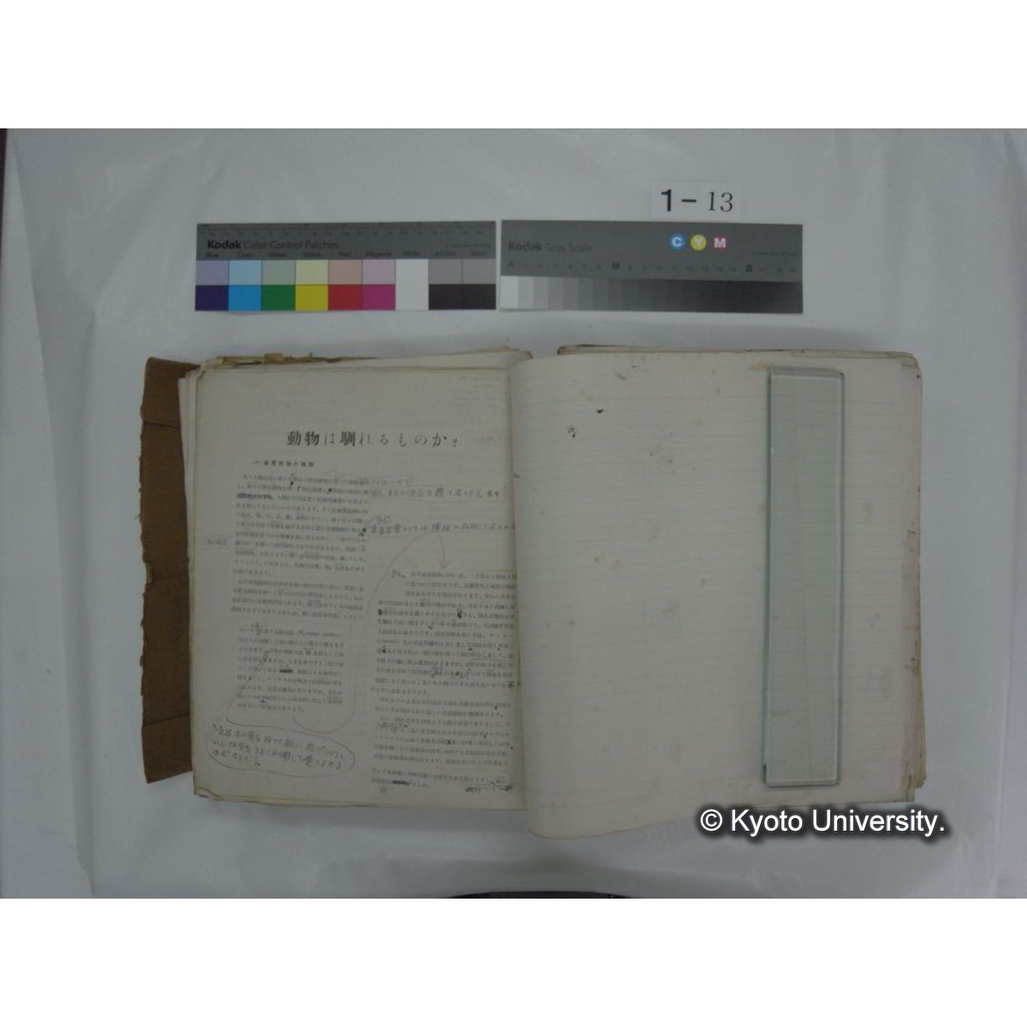 自著旧文 [直筆・著作複写・抜き刷りなど] / 川村多實二 (117)