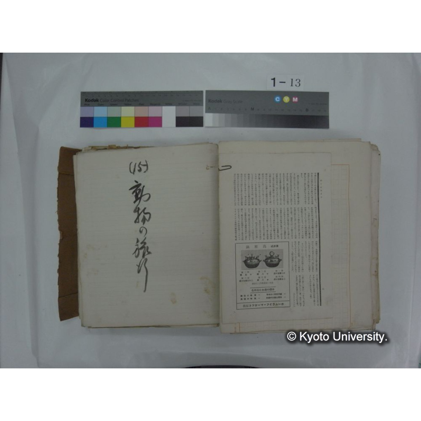 自著旧文 [直筆・著作複写・抜き刷りなど] / 川村多實二 (119)