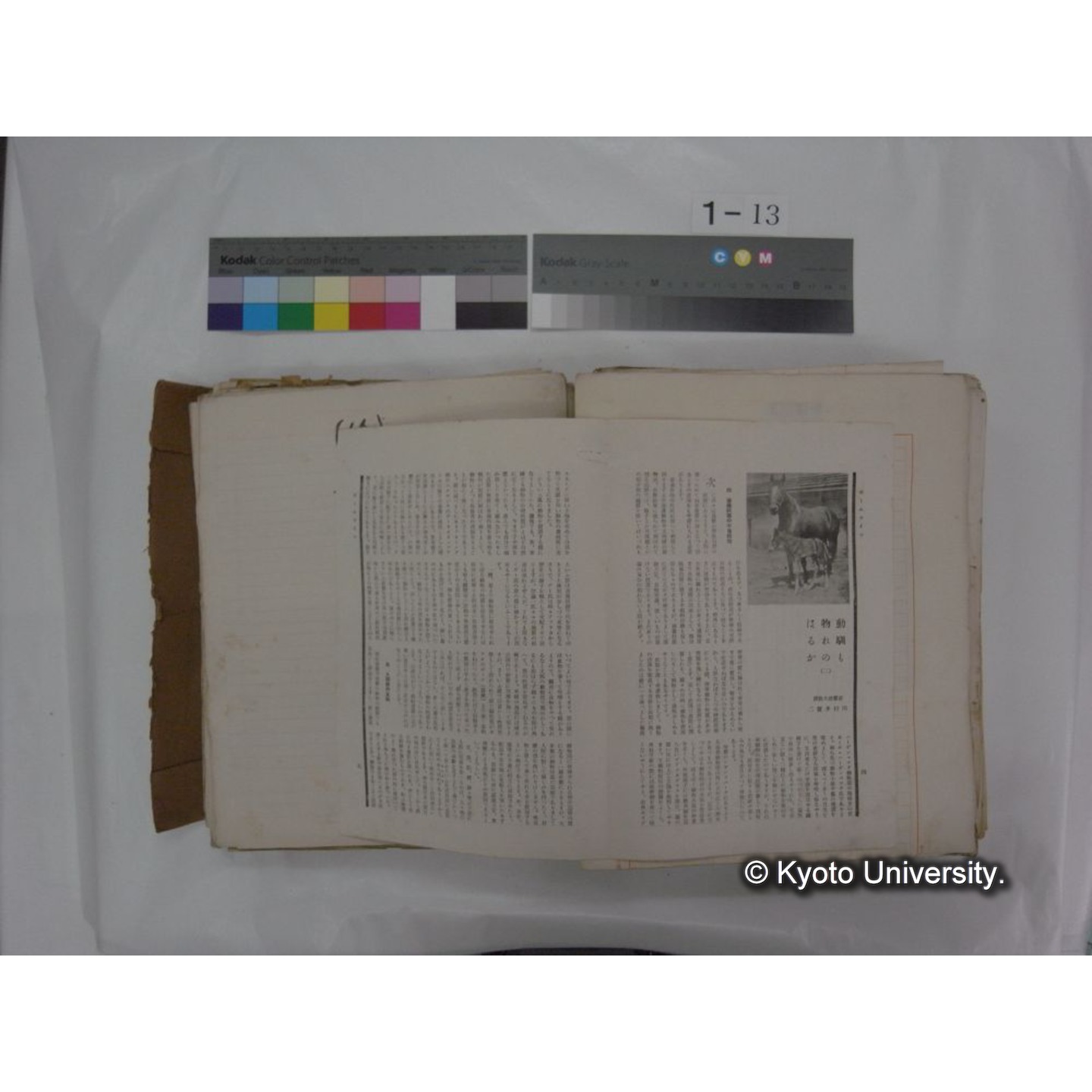 自著旧文 [直筆・著作複写・抜き刷りなど] / 川村多實二 (120)