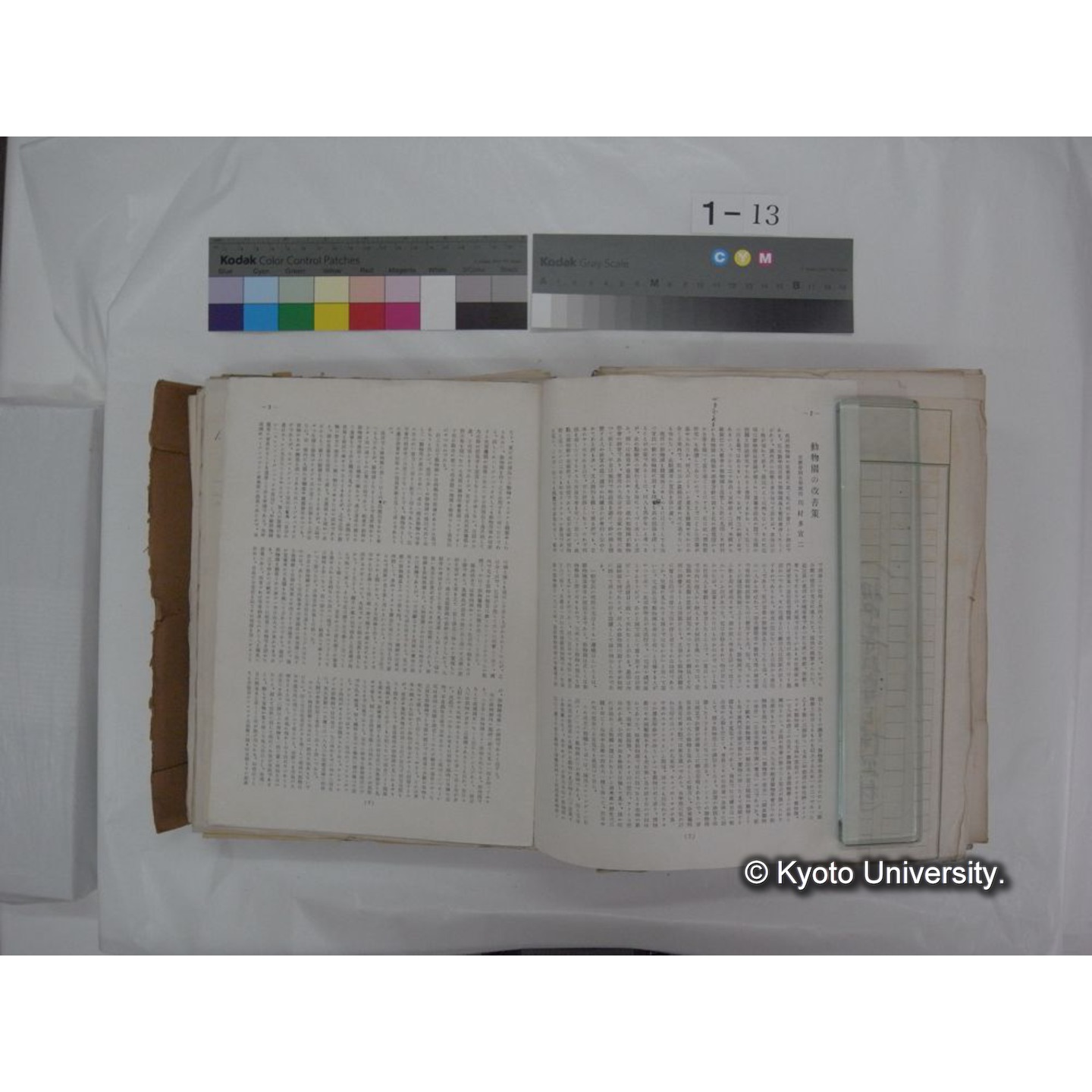 自著旧文 [直筆・著作複写・抜き刷りなど] / 川村多實二 (131)