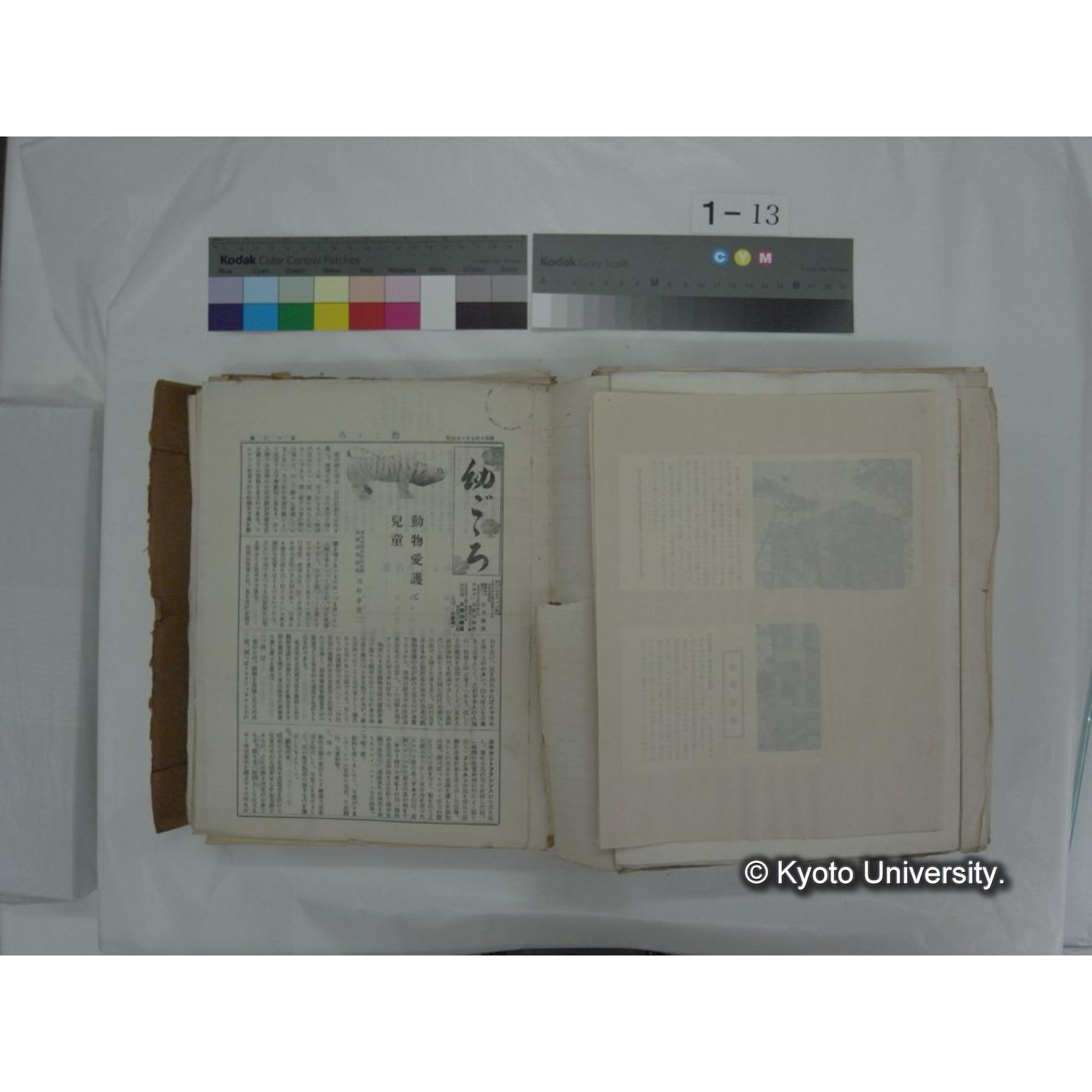 自著旧文 [直筆・著作複写・抜き刷りなど] / 川村多實二 (133)