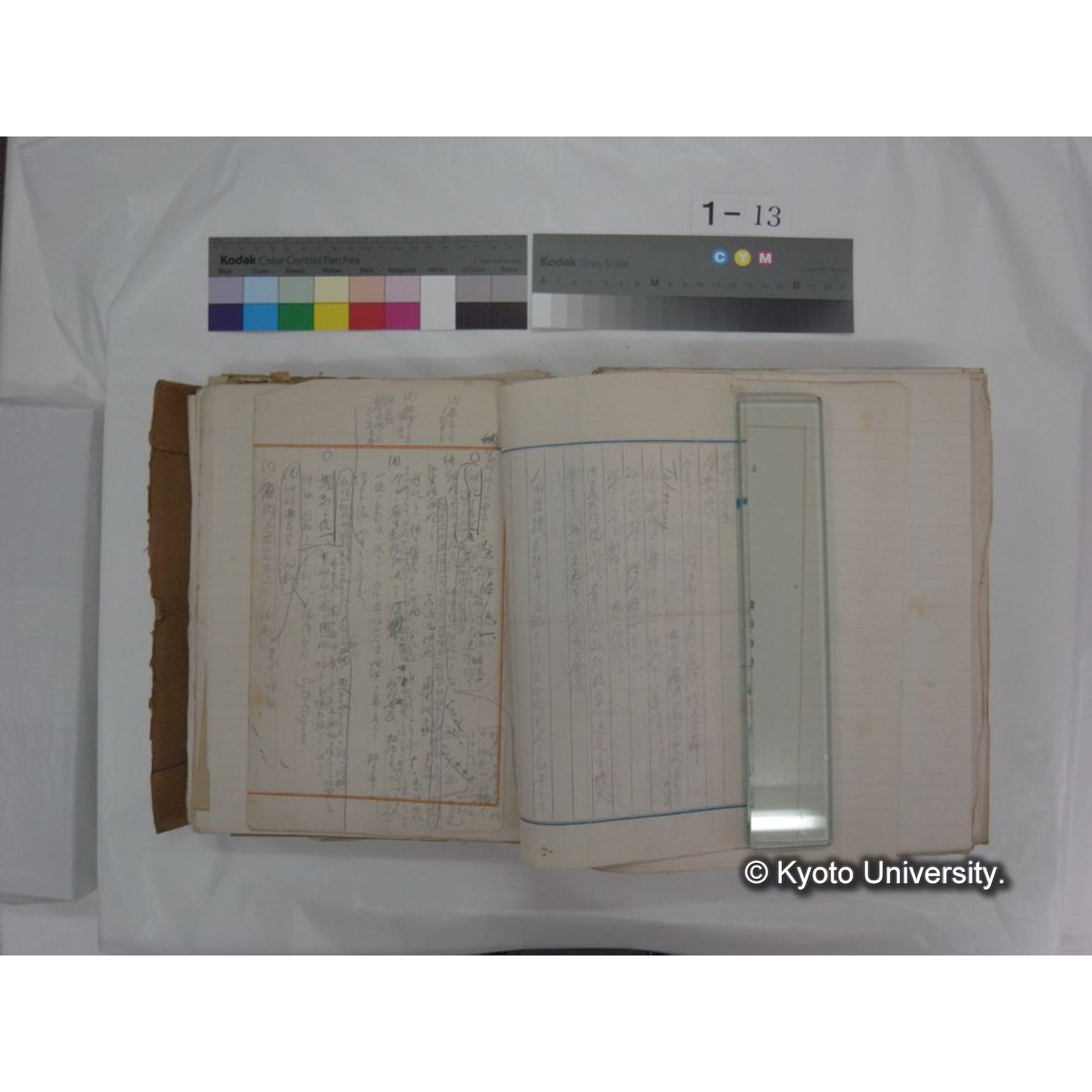 自著旧文 [直筆・著作複写・抜き刷りなど] / 川村多實二 (139)