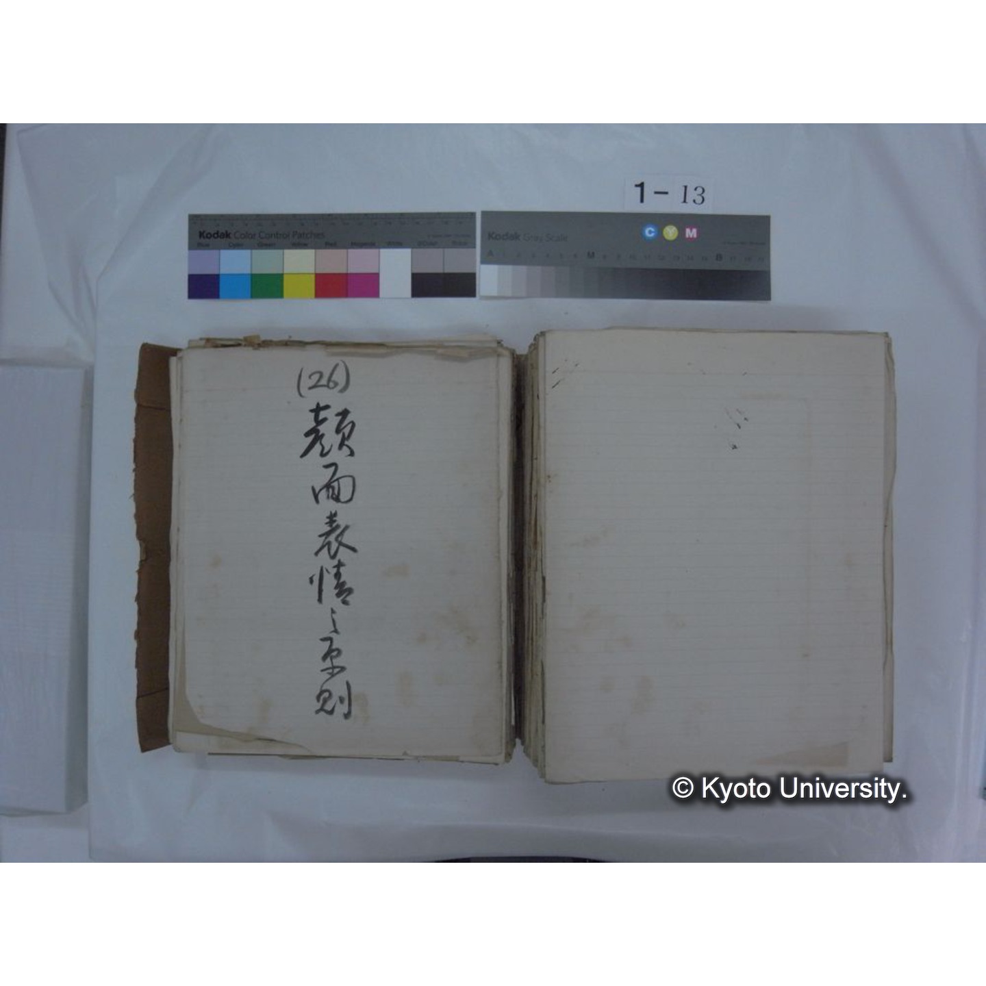 自著旧文 [直筆・著作複写・抜き刷りなど] / 川村多實二 (141)