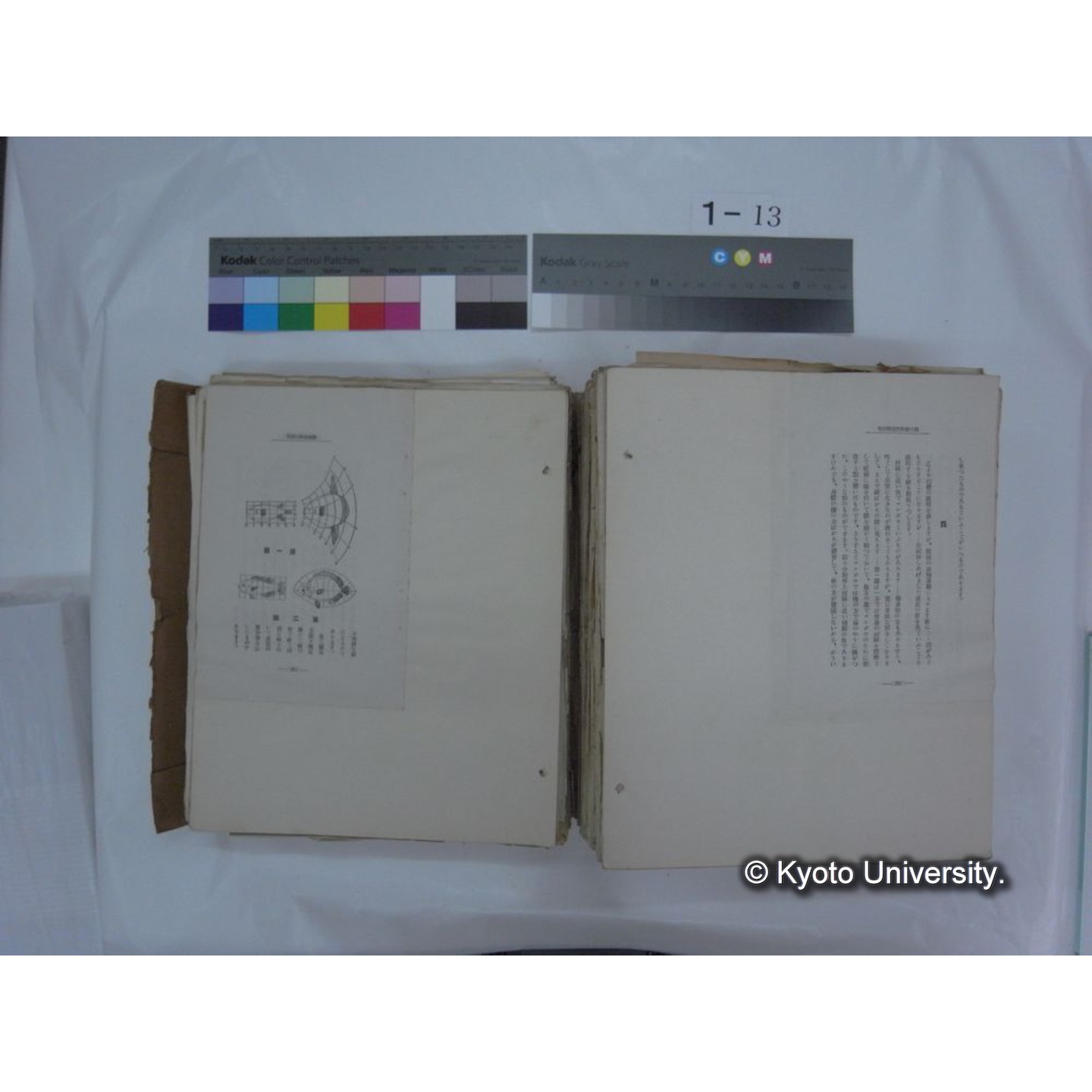 自著旧文 [直筆・著作複写・抜き刷りなど] / 川村多實二 (146)