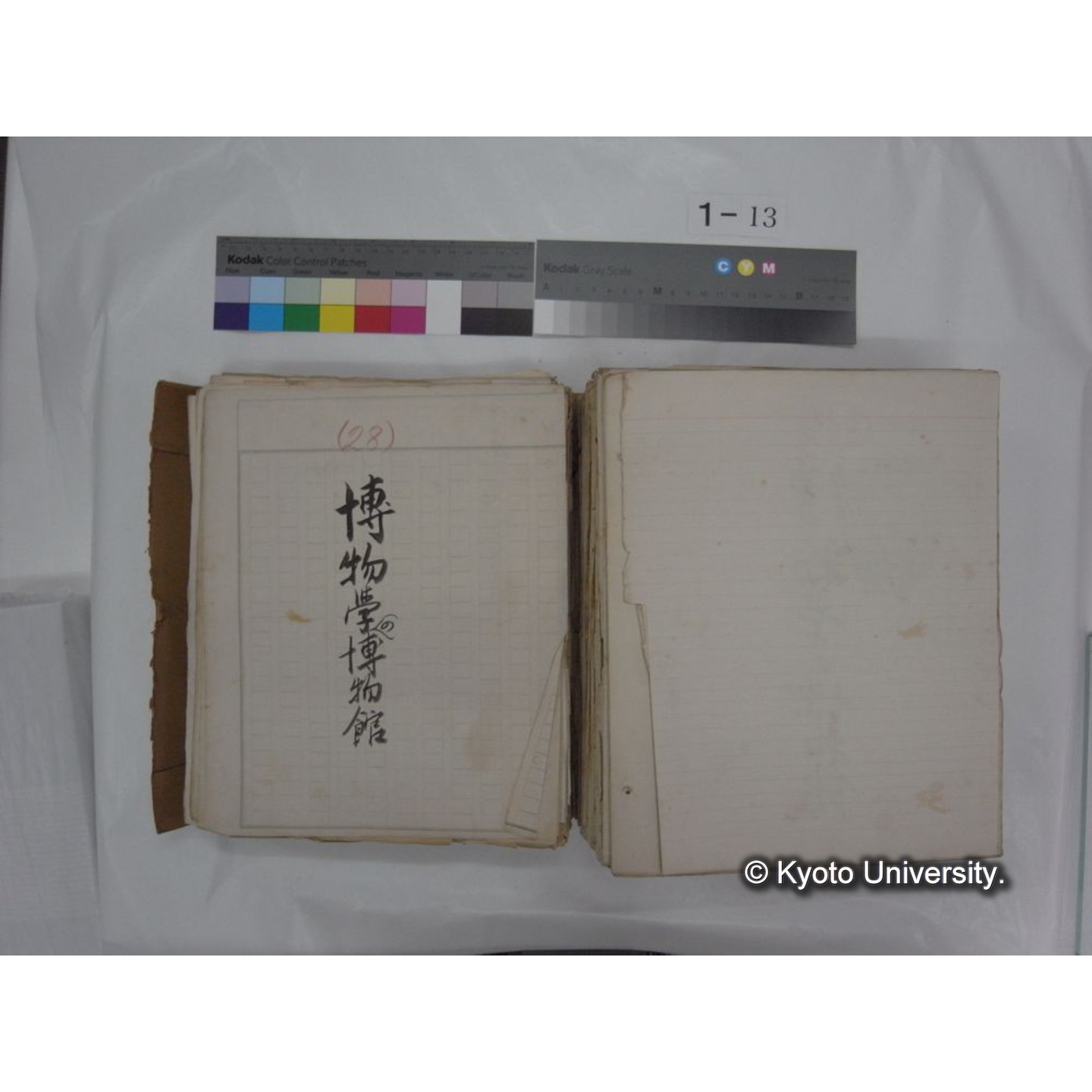 自著旧文 [直筆・著作複写・抜き刷りなど] / 川村多實二 (149)